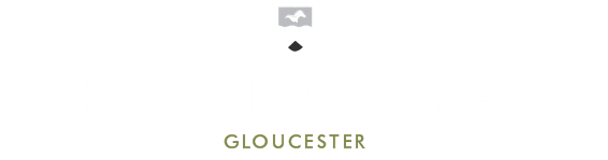 The Cheltenham Chase Leisure Club