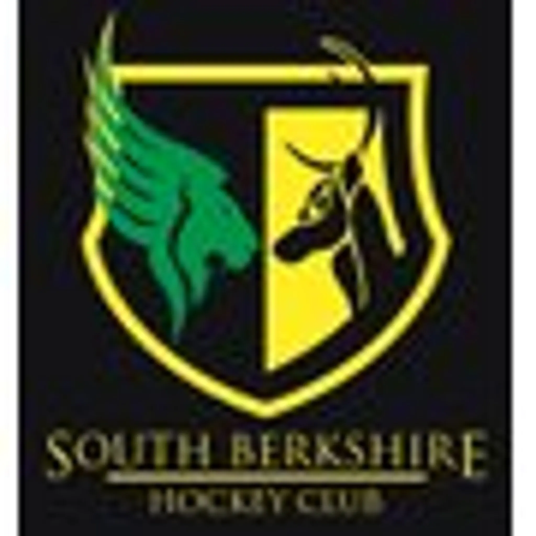 South Berkshire Hockey Club
