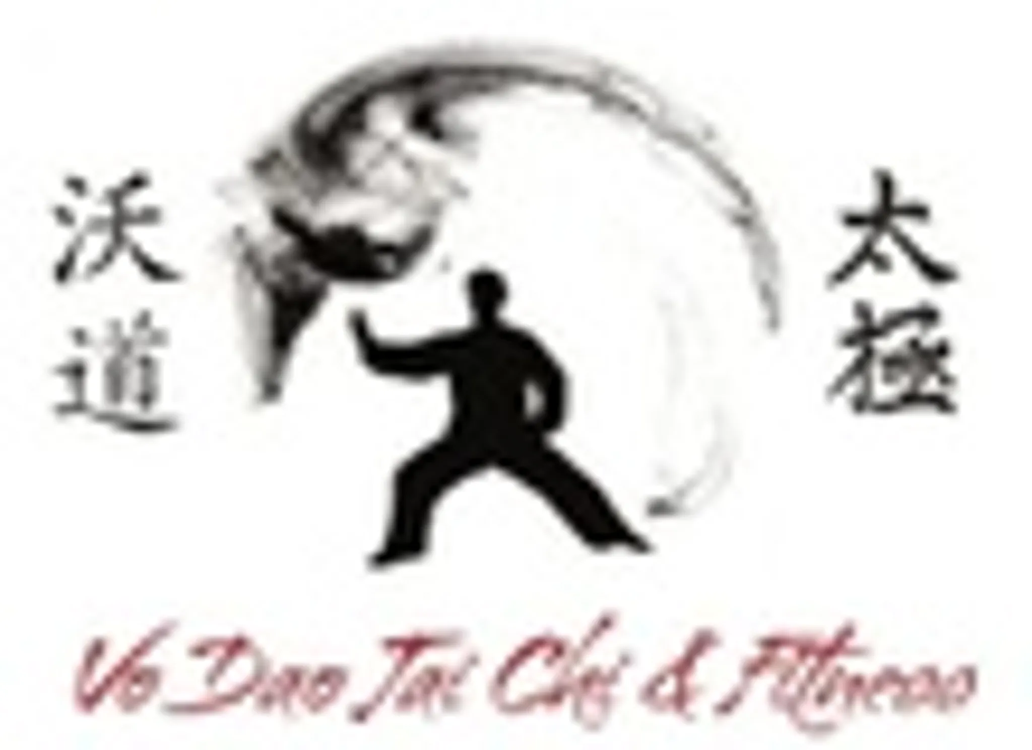 VO DAO TAI CHI
