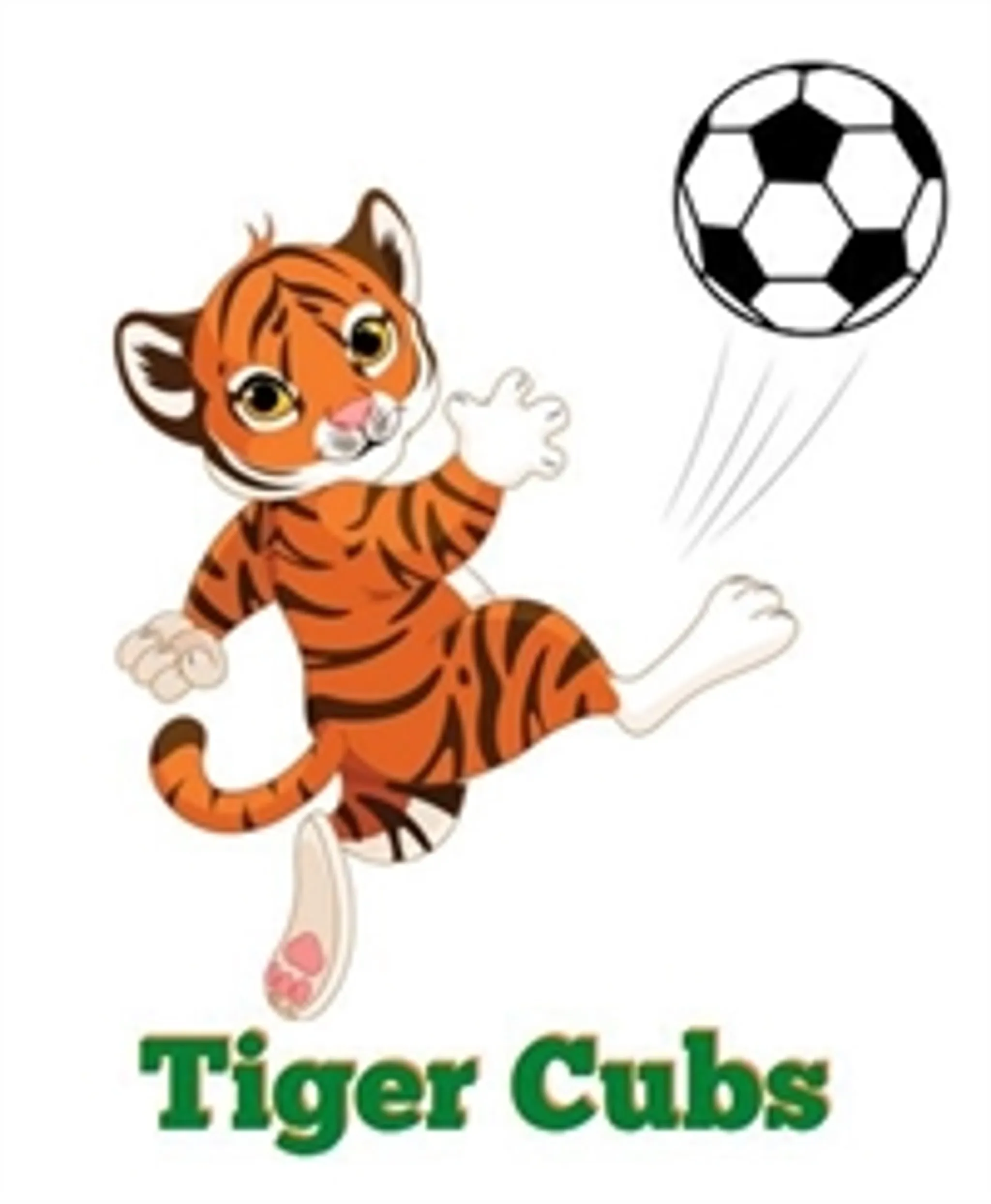 Tarragindi Tigers Football Club MiniRoos