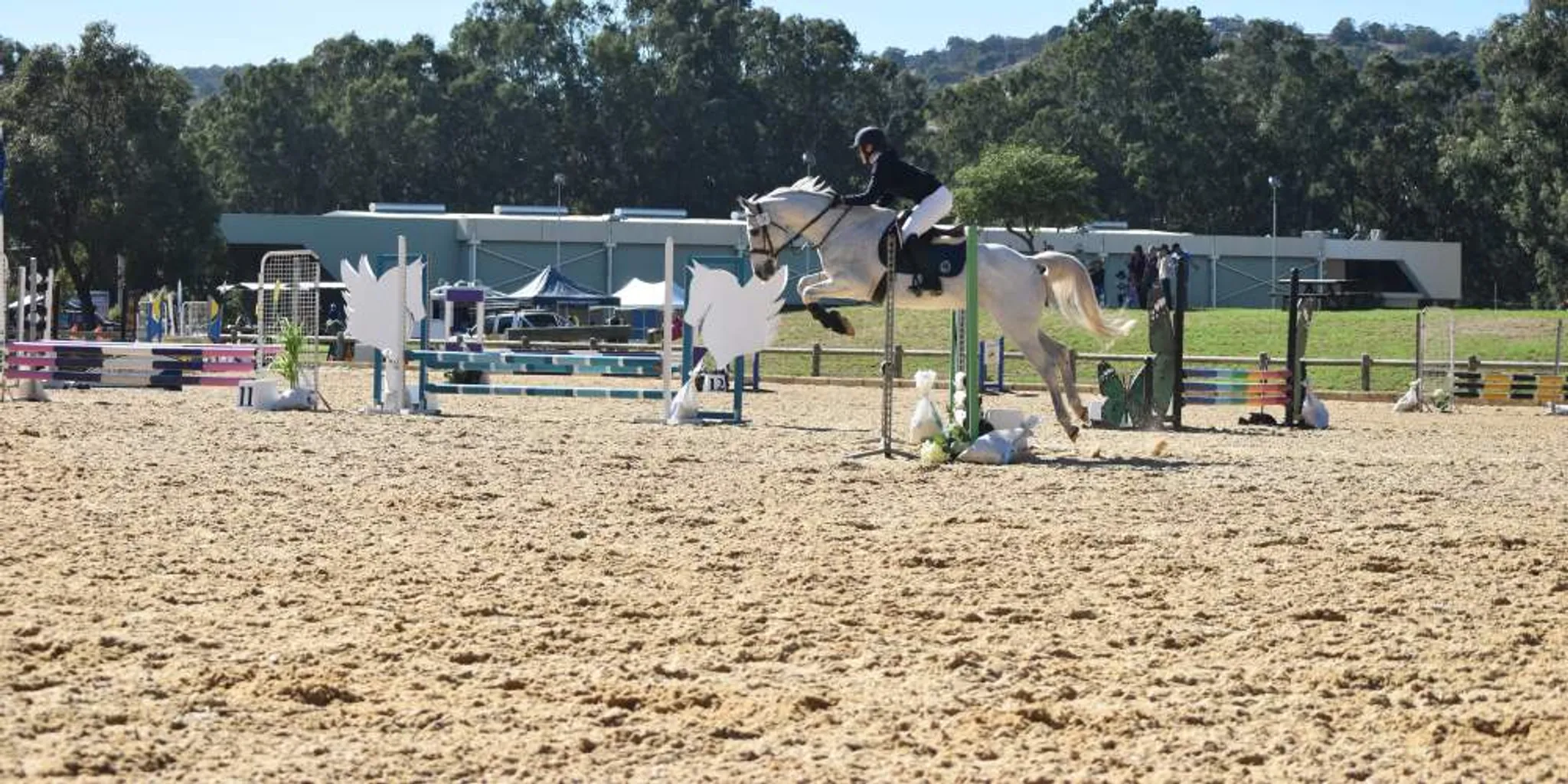 SWSSA Netball Cup Bunbury