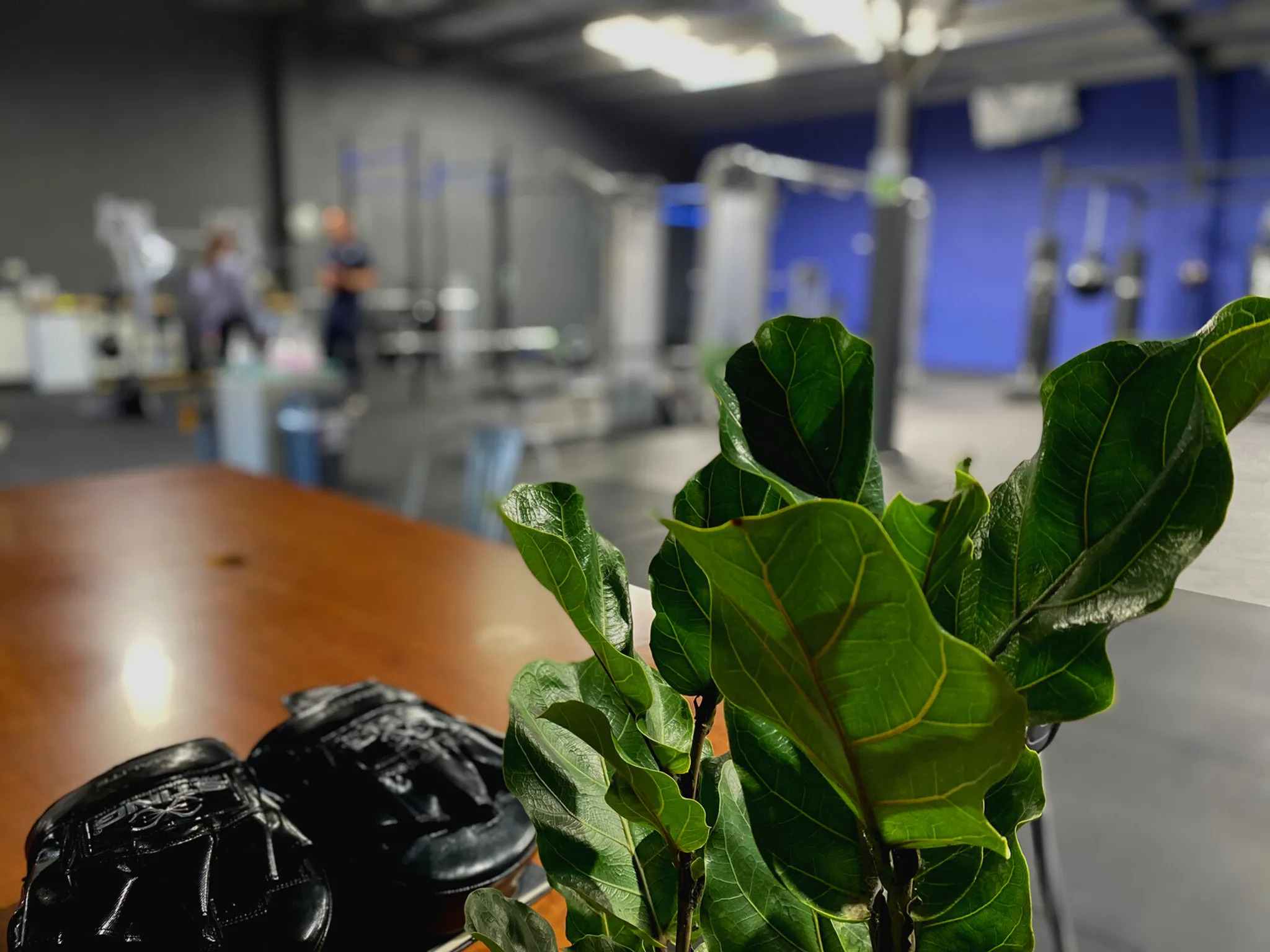 Highlander Personal Training Studio