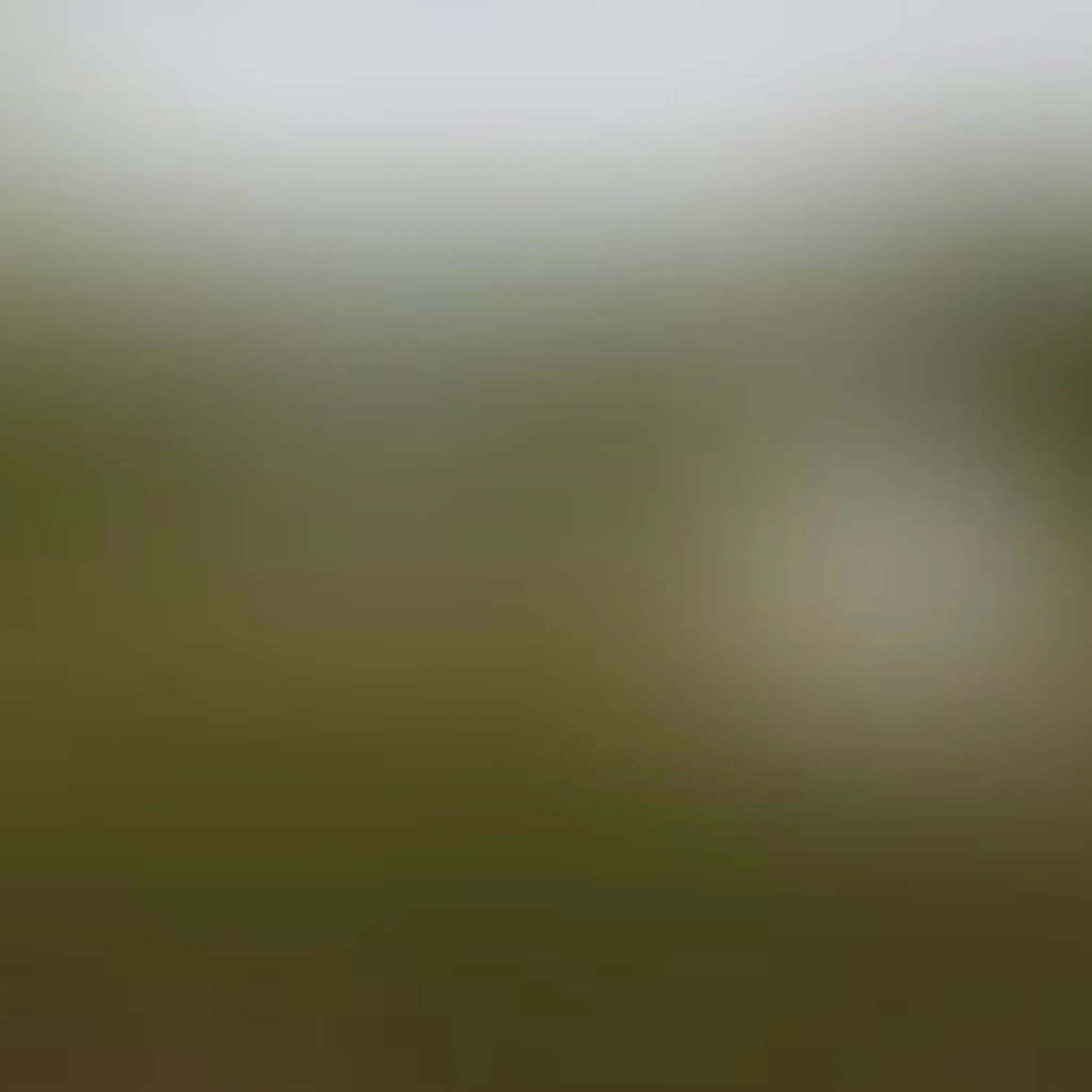 Manitoulin Eco Park & DarkSky