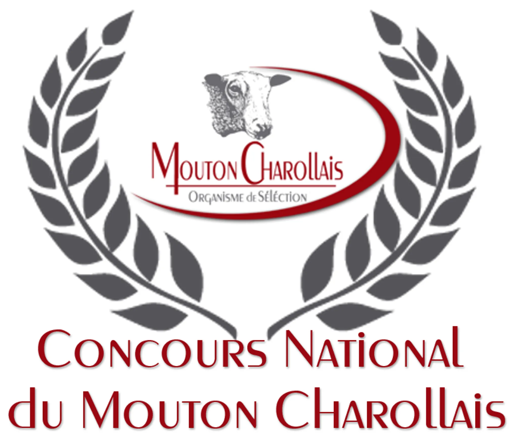 Os Mouton Charollais