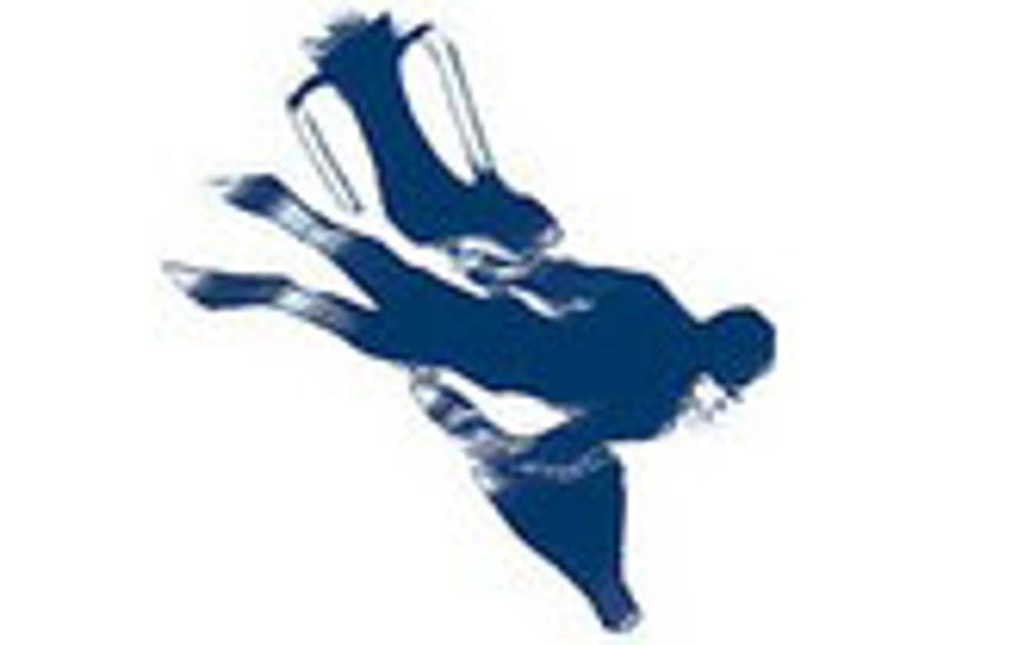 C.S.A.T. (Club Sub Aquatique Toulousain)