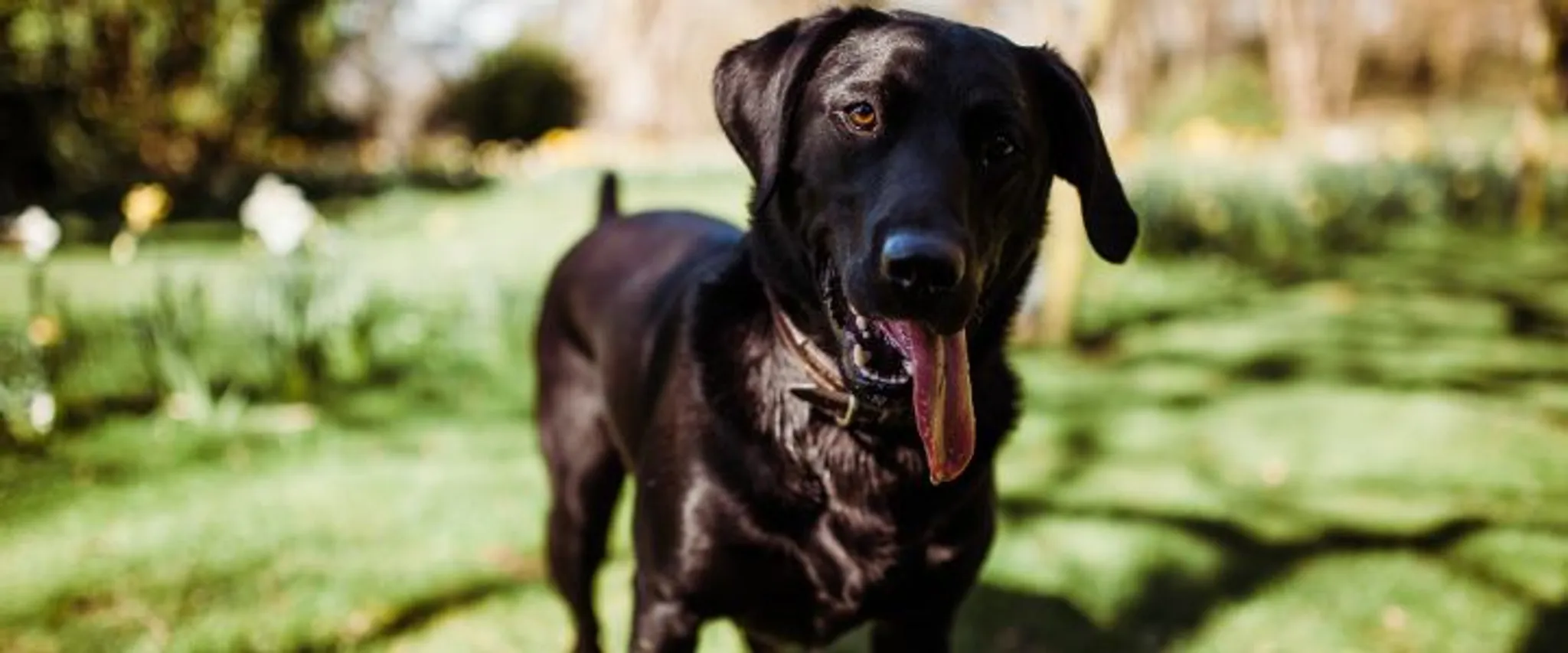 Love2Stay Adventure Centre