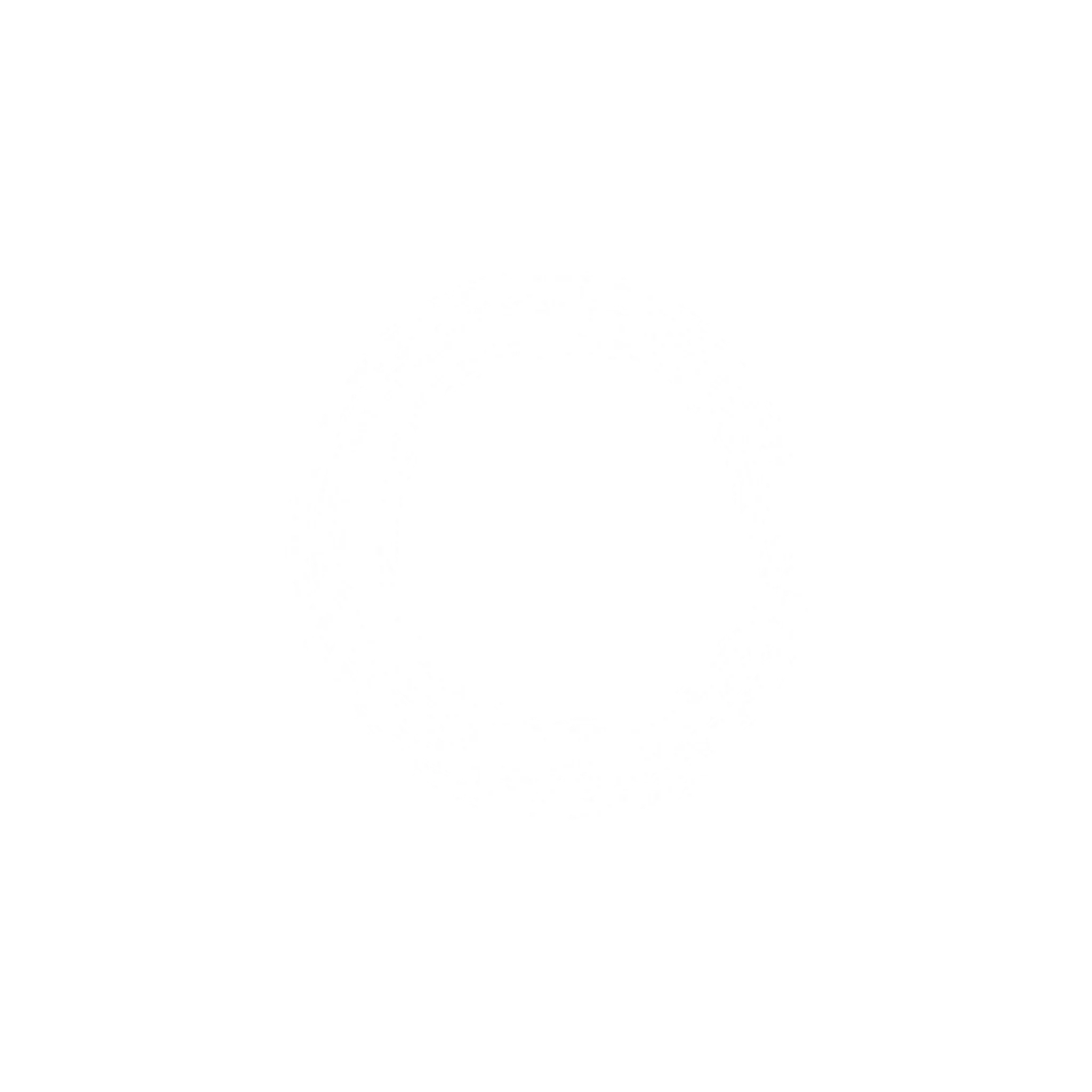 KOI HOLISTIC HEALTH