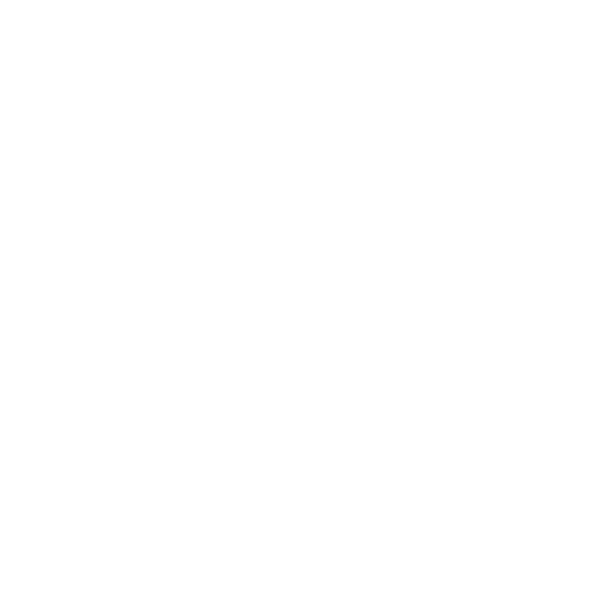 Fighting Fit at Ninja Nation Australia