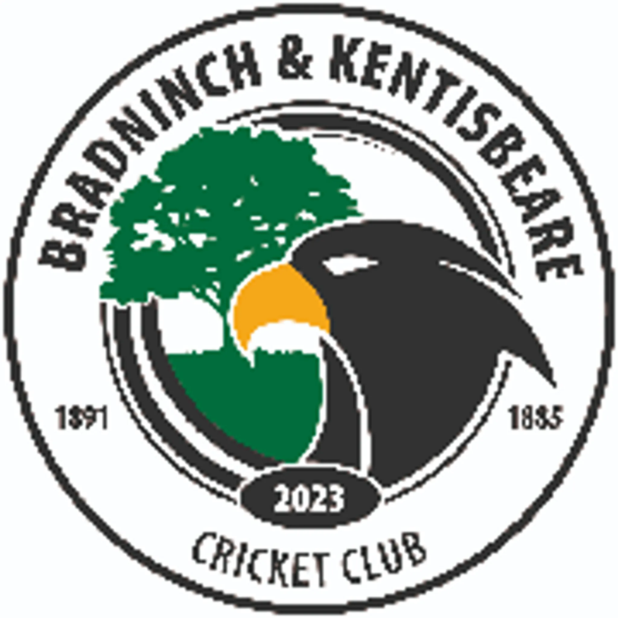 Honiton Cricket Club