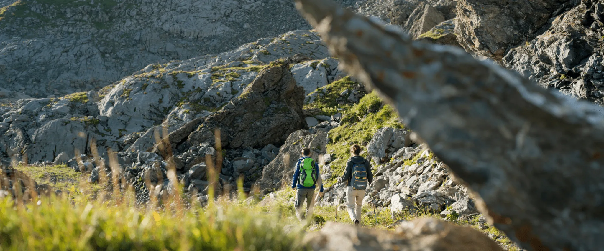 Multi Pass Portes du Soleil