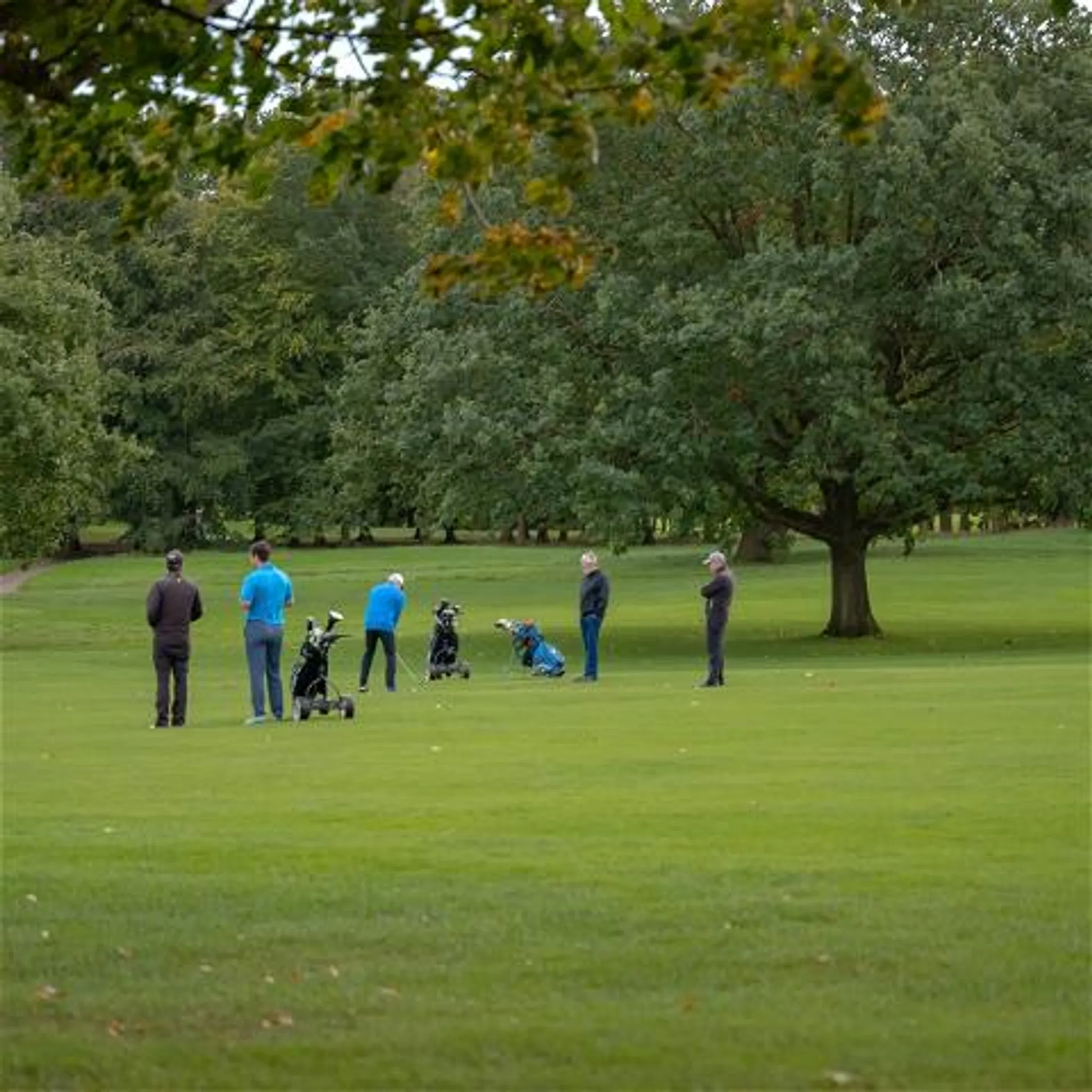 Residential Golf School with Grooves Golf