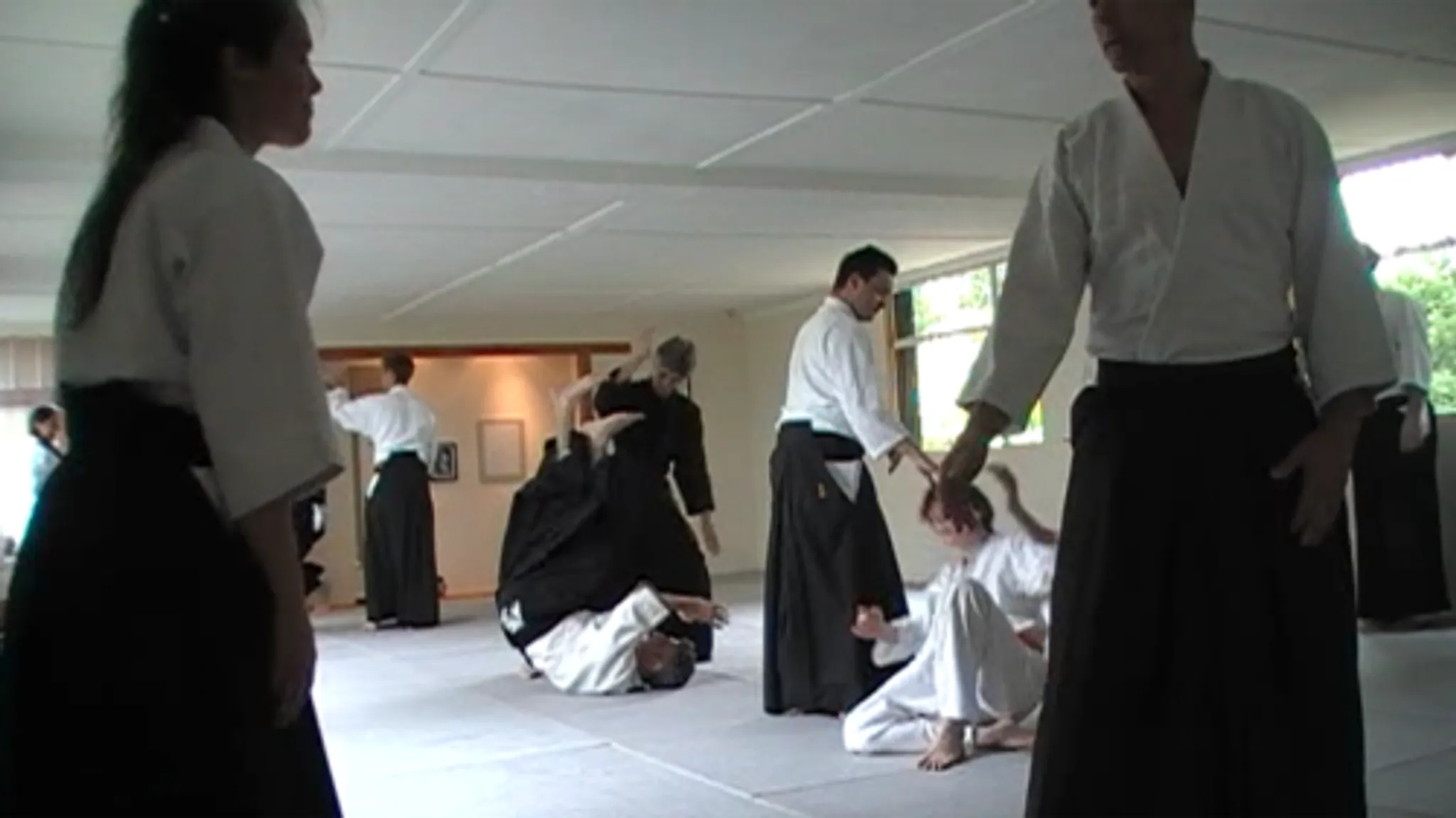 Isshinkai Aikido London