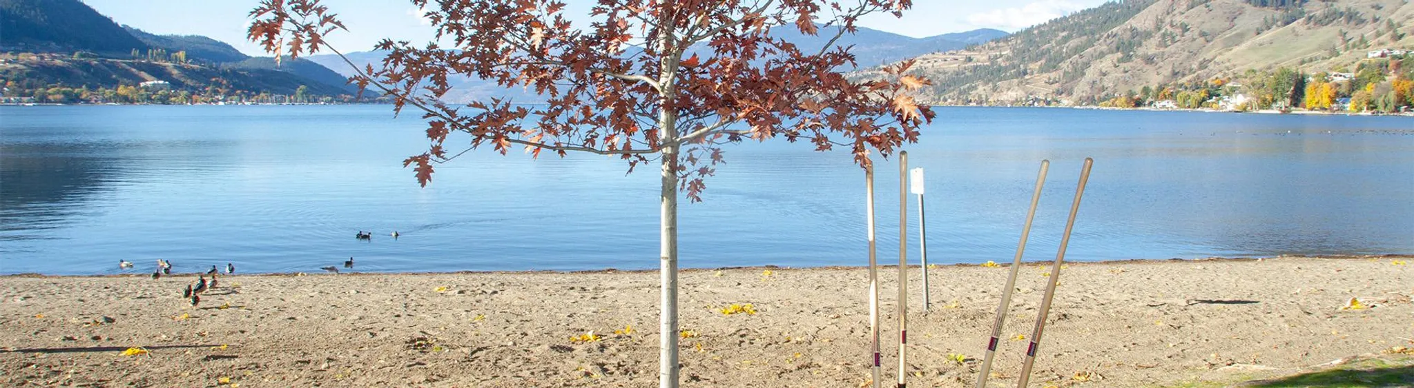 Kennedy Lane Beach Access