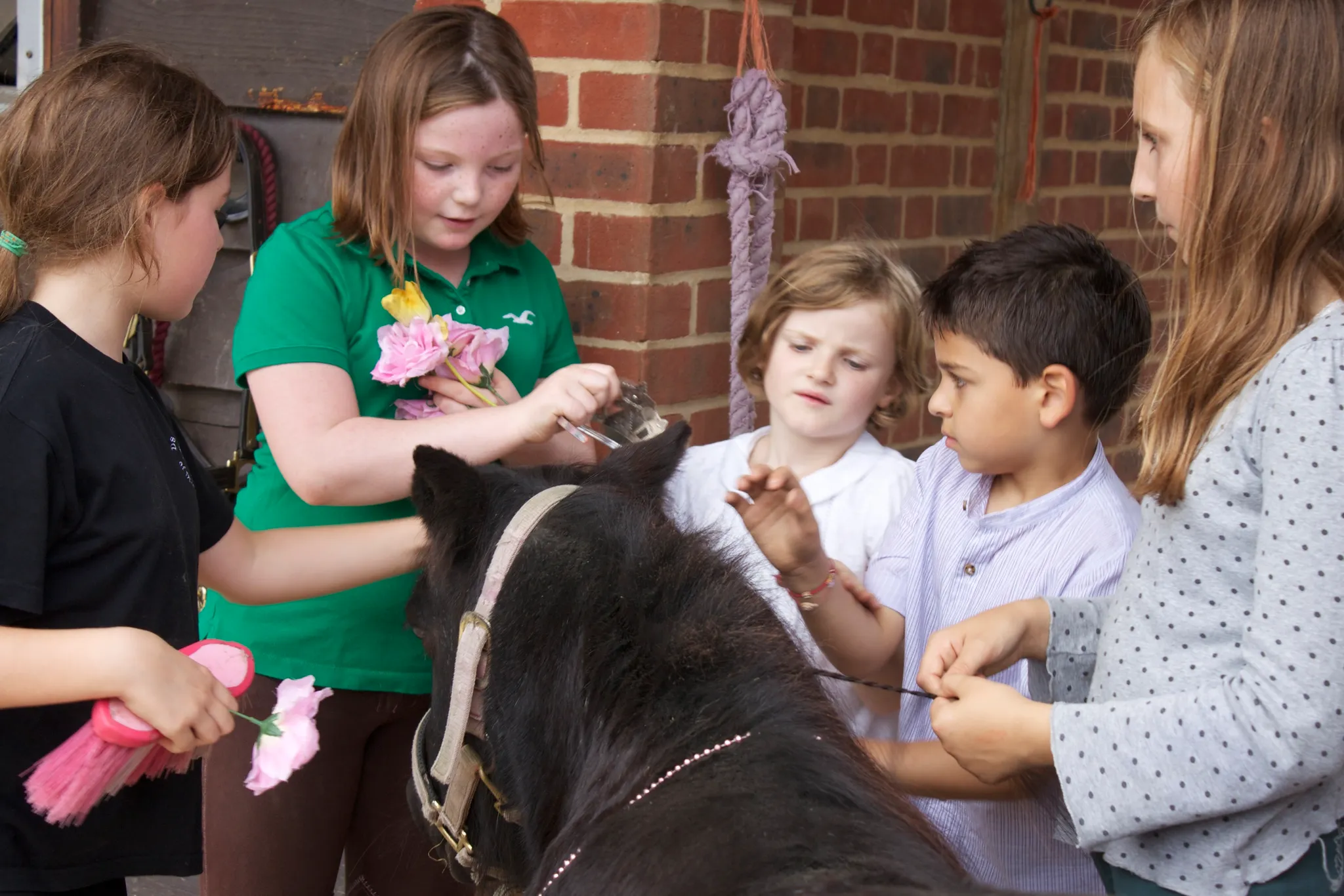 Children's Riding Holiday