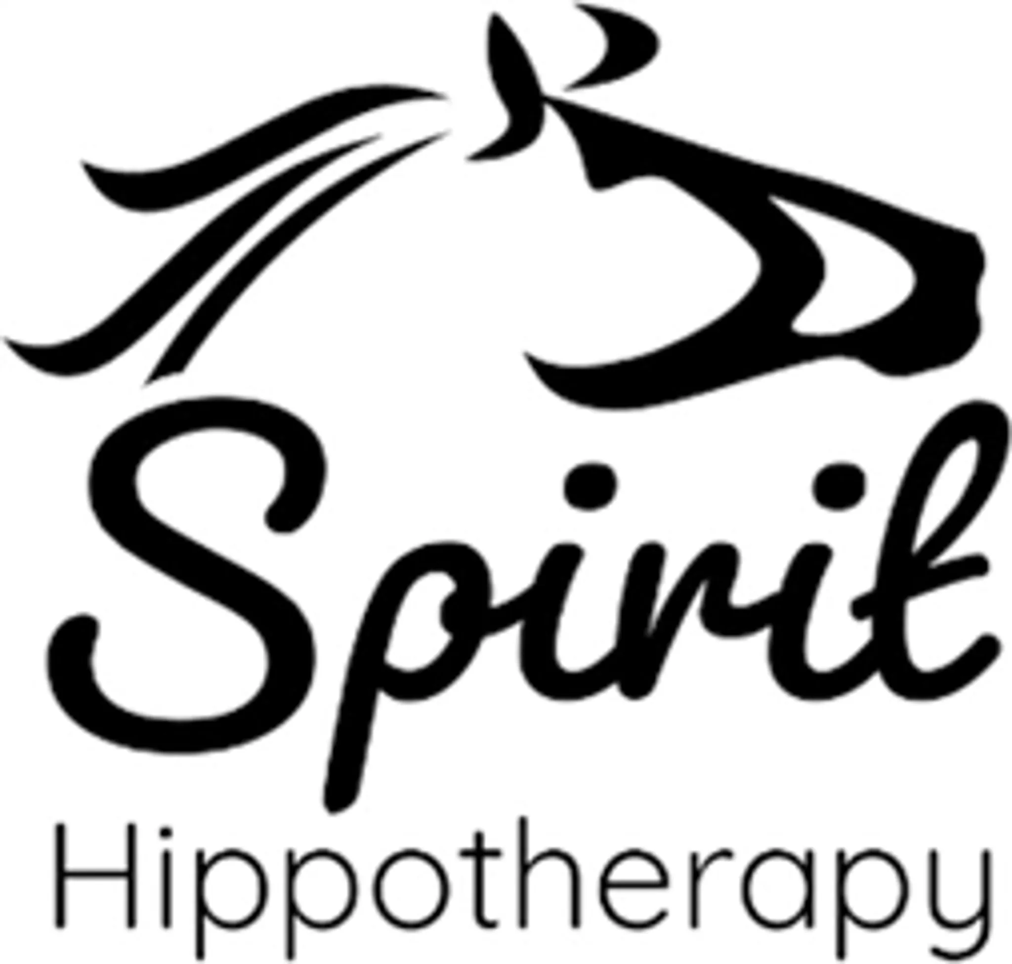 The Clwyd Special Riding Centre