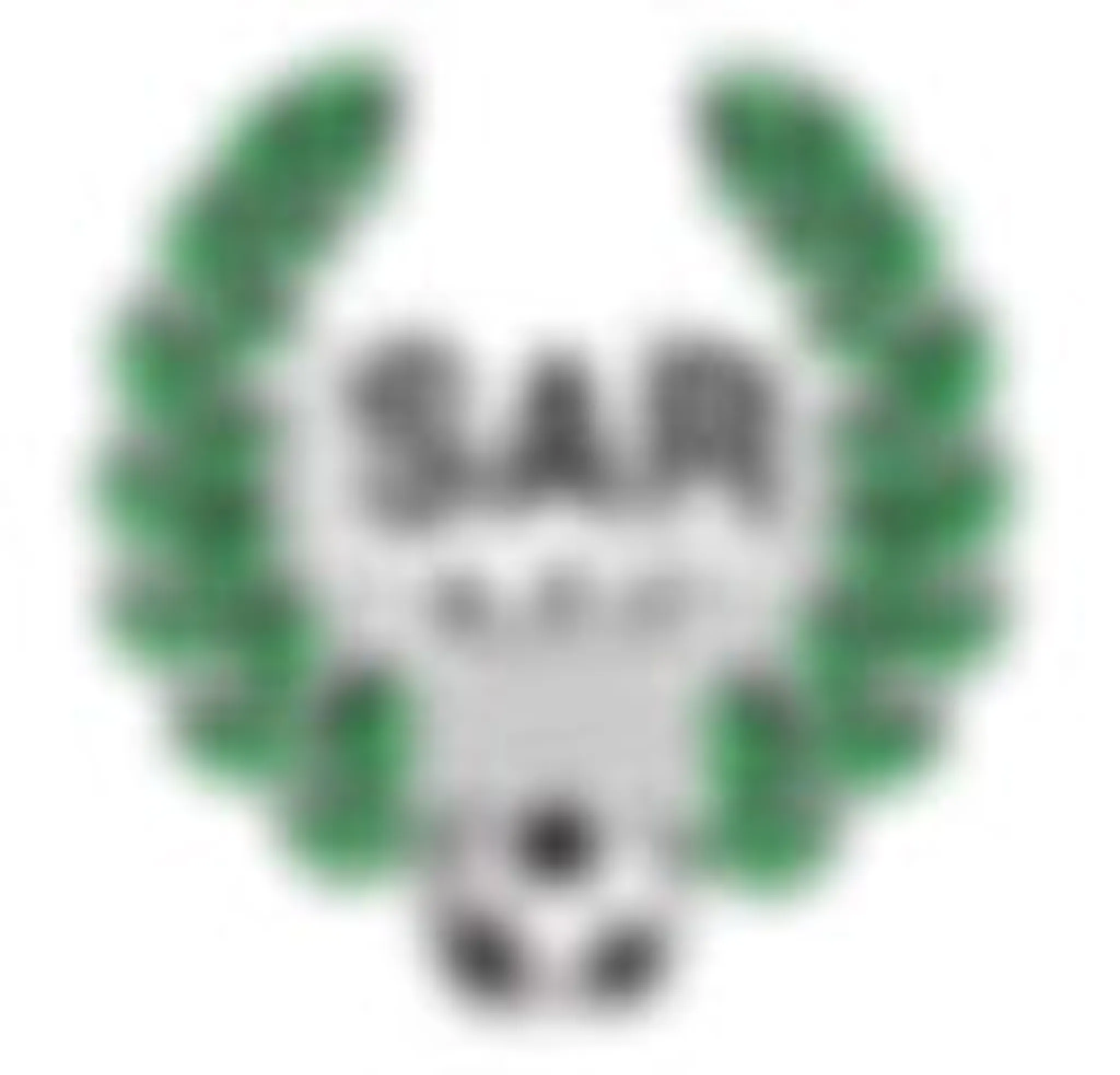 South Auckland Rangers