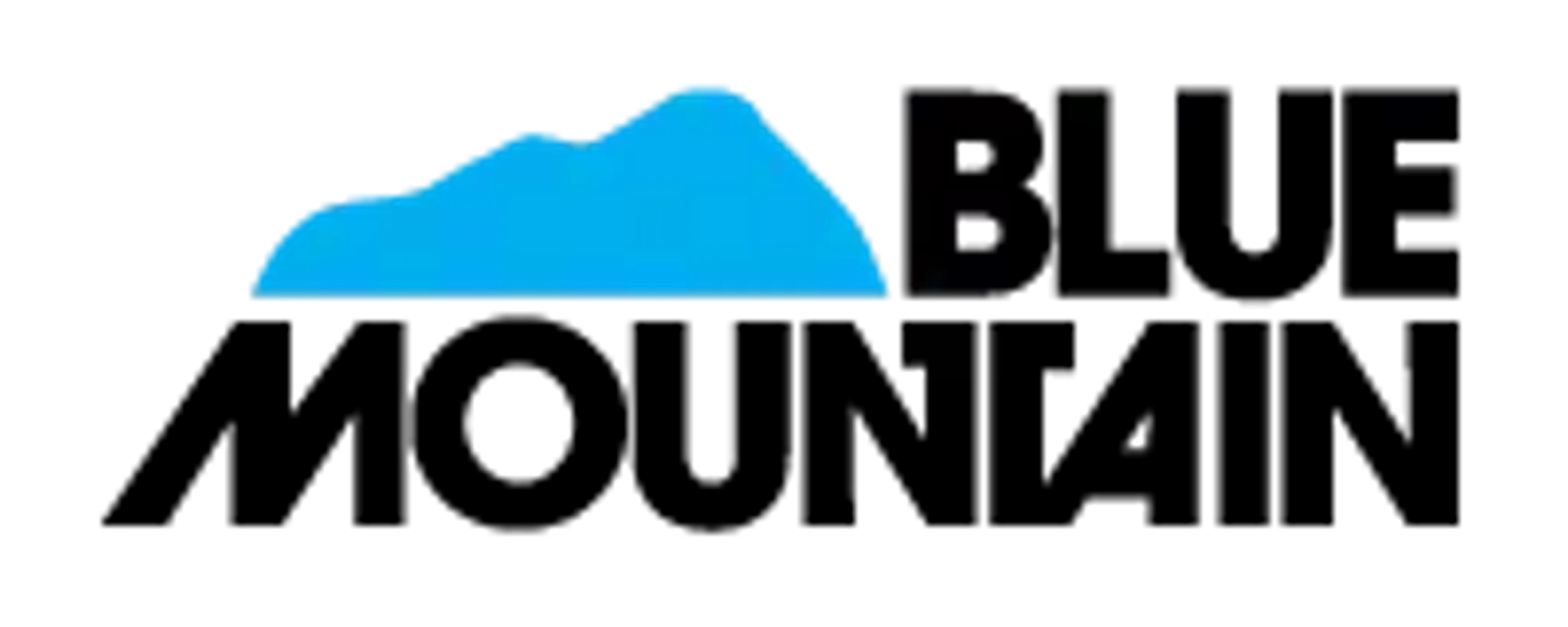 Chateau Ridge - Resort Homes by Blue Mountain Resort