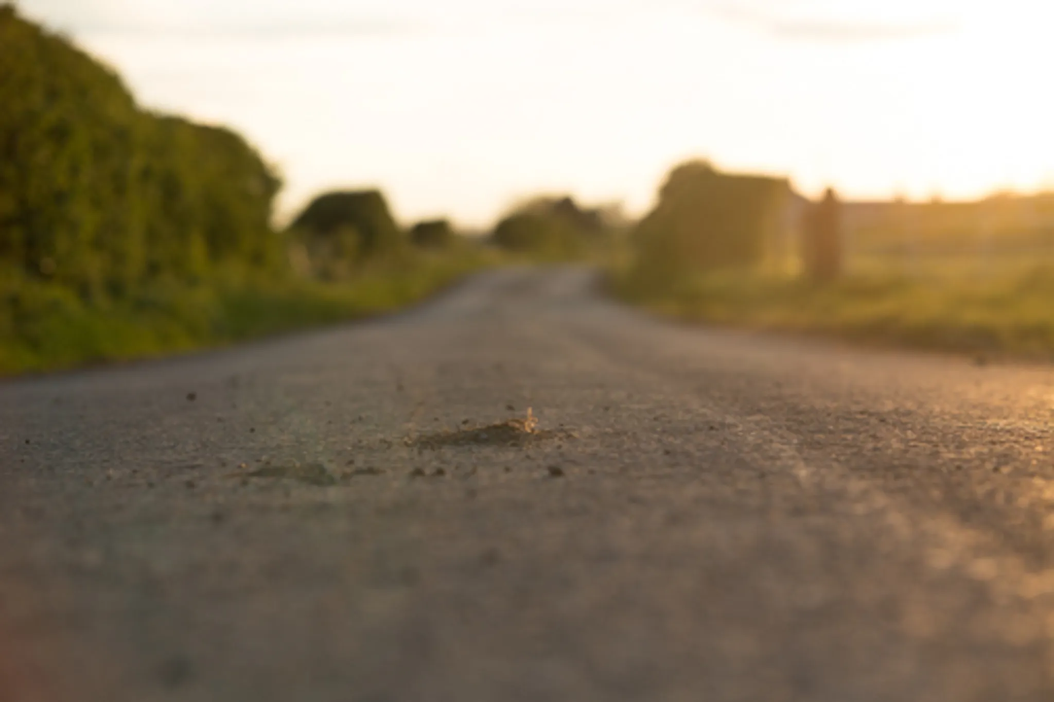 Velo Club Rutland RIDES THE CYCLING WEEK