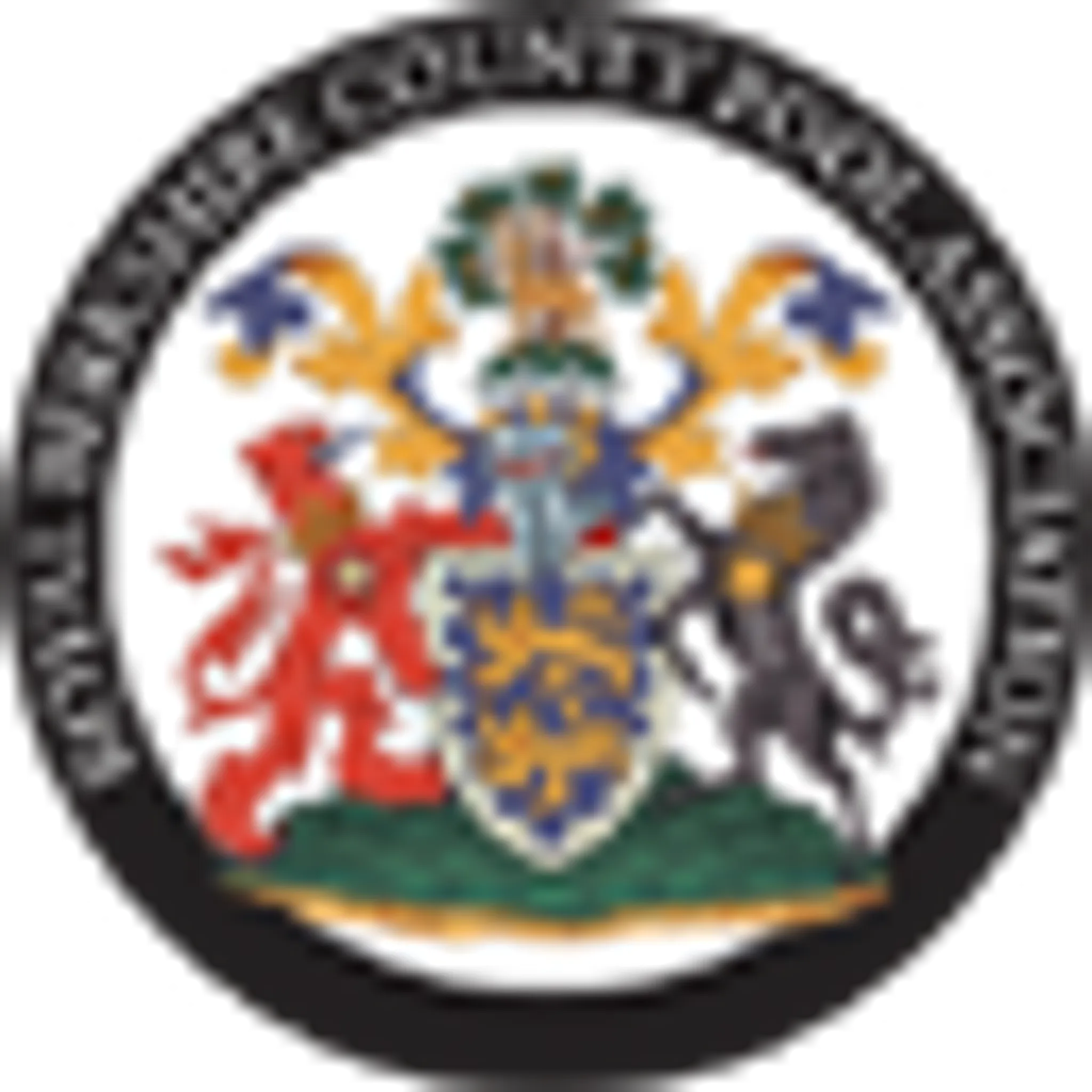 Royal Berkshire County Pool Association