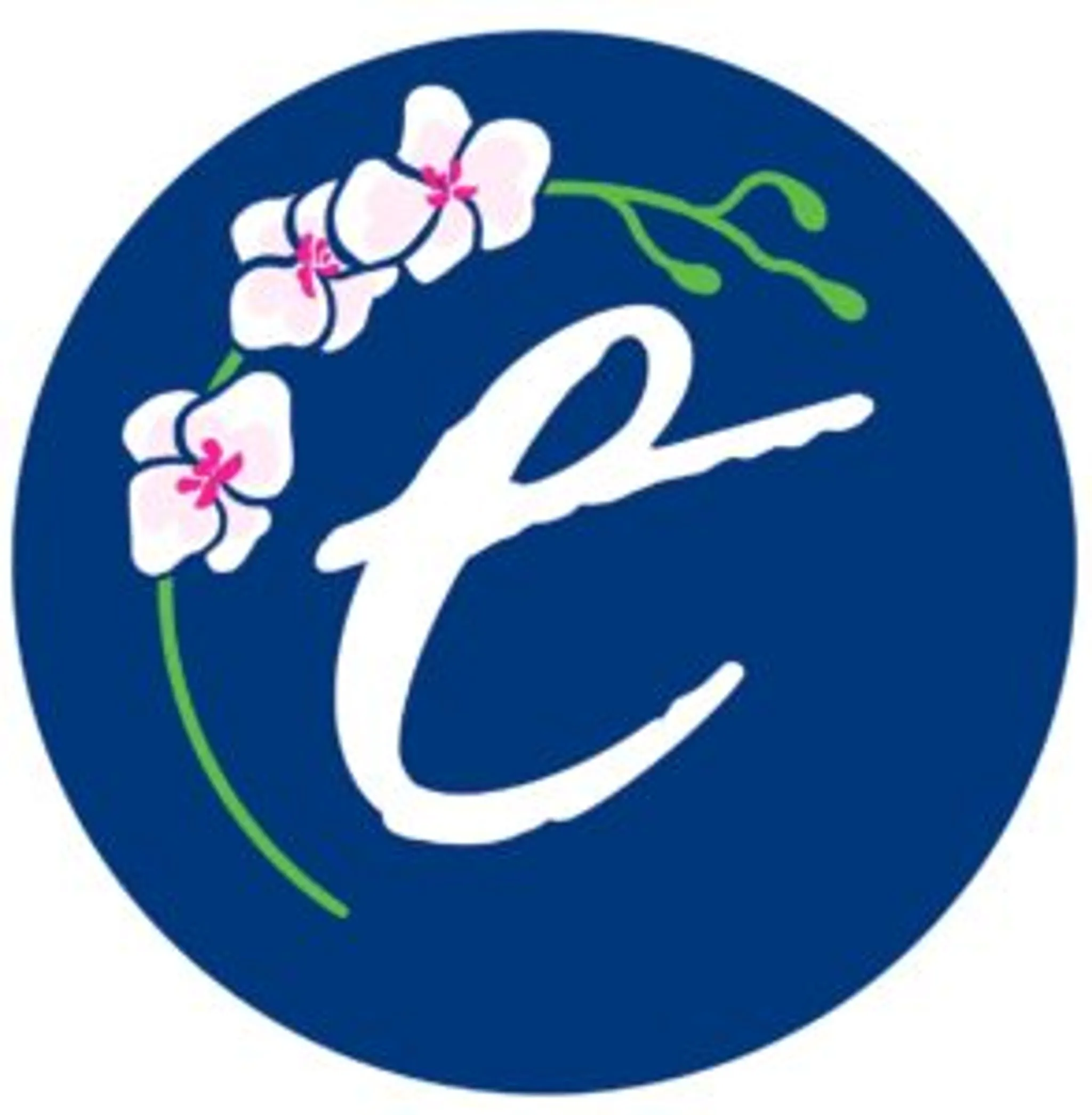 Envision Physiotherapy