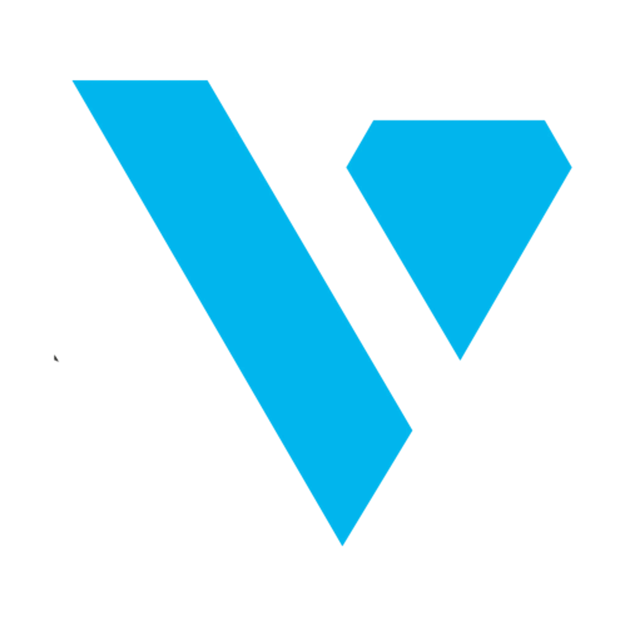 Vision Fitness Bishop's Stortford