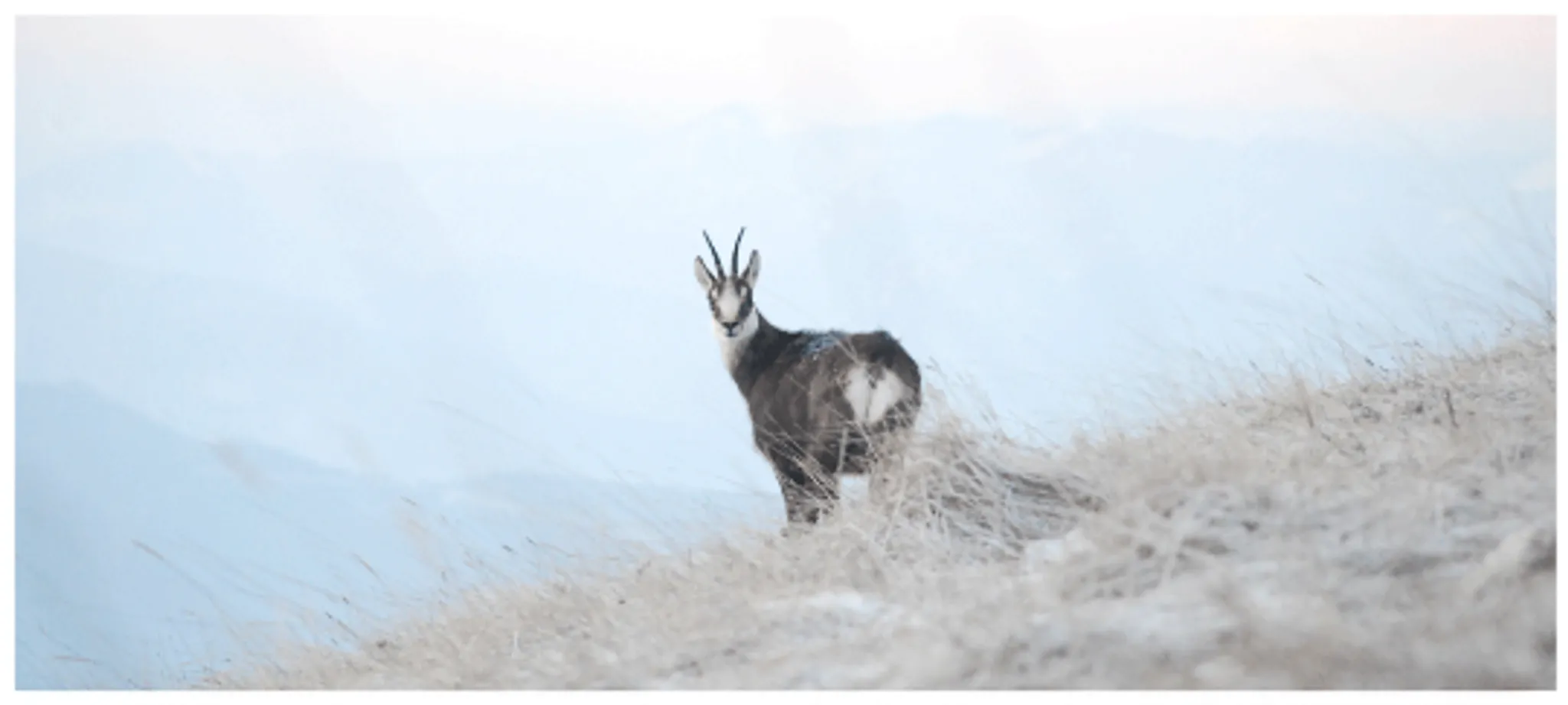 Valencia Romans Agglo