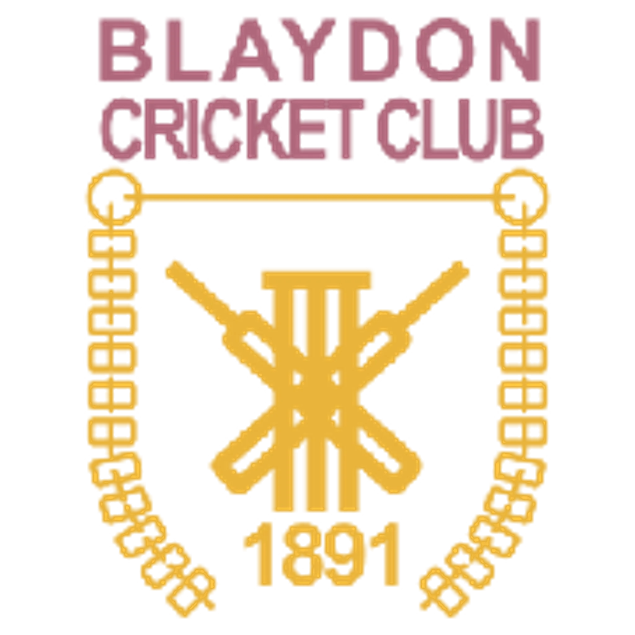 Blaydon Cricket Club
