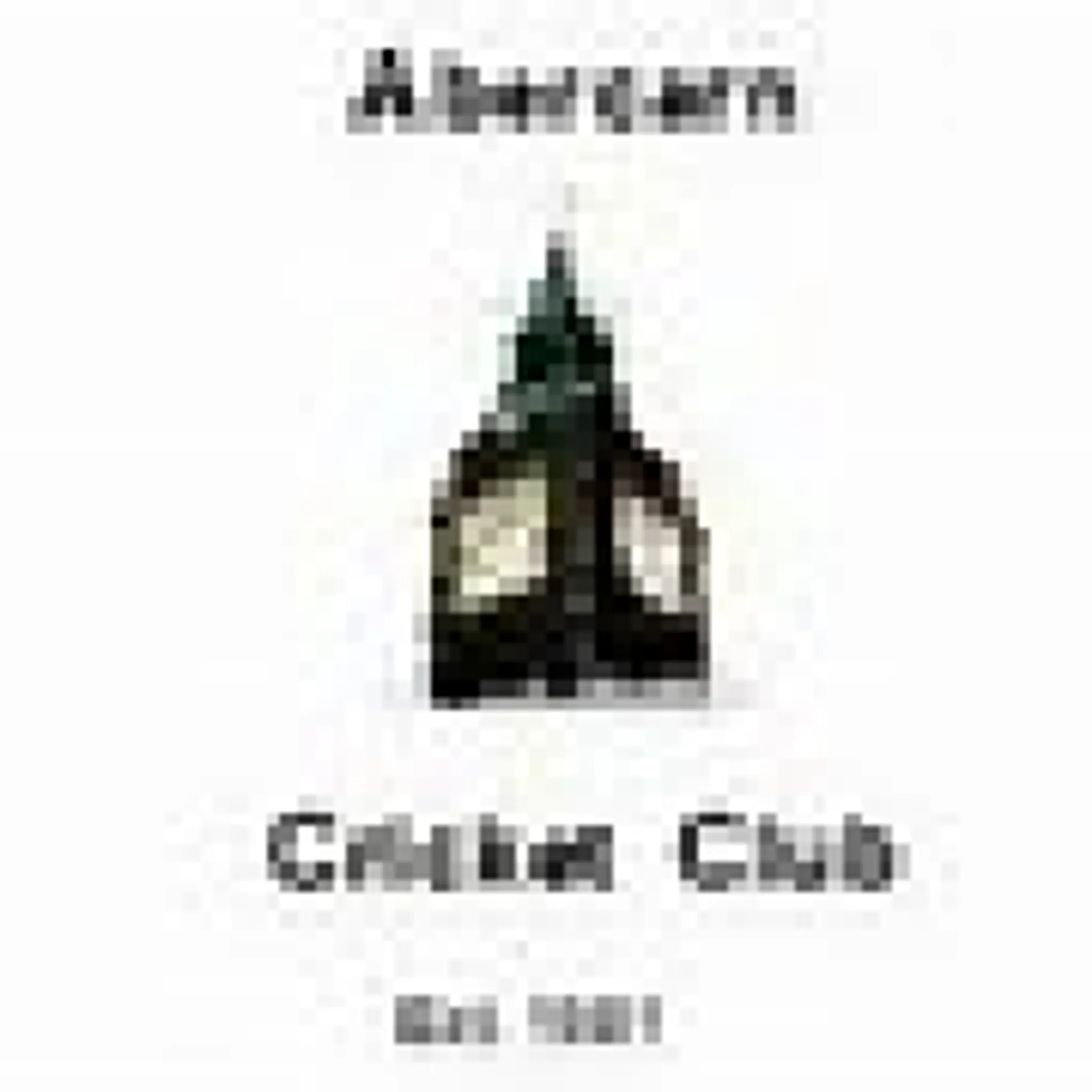 Abercarn Cricket Club