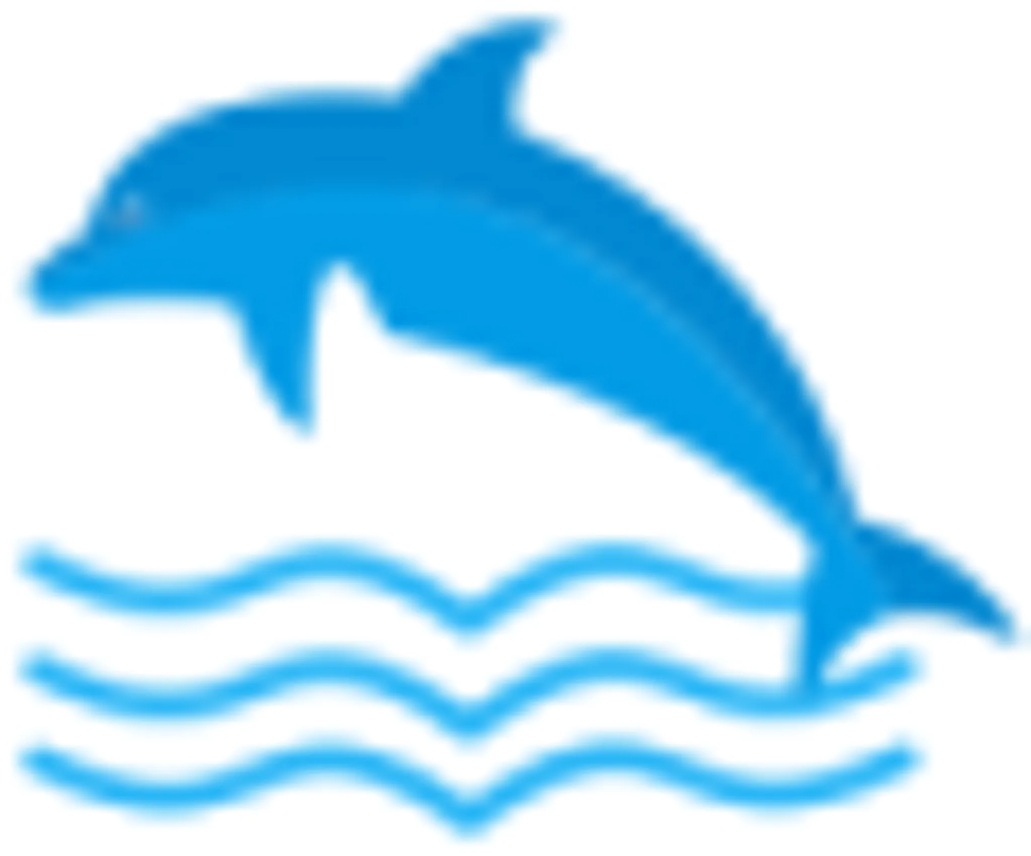 Dolphin Swim School