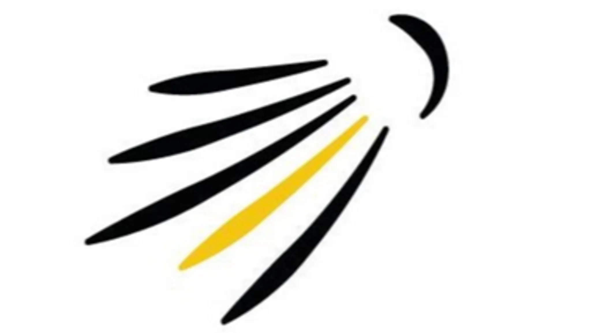 Tournoi d'été 30 Juin 2024 US Meyzieu Volleyball