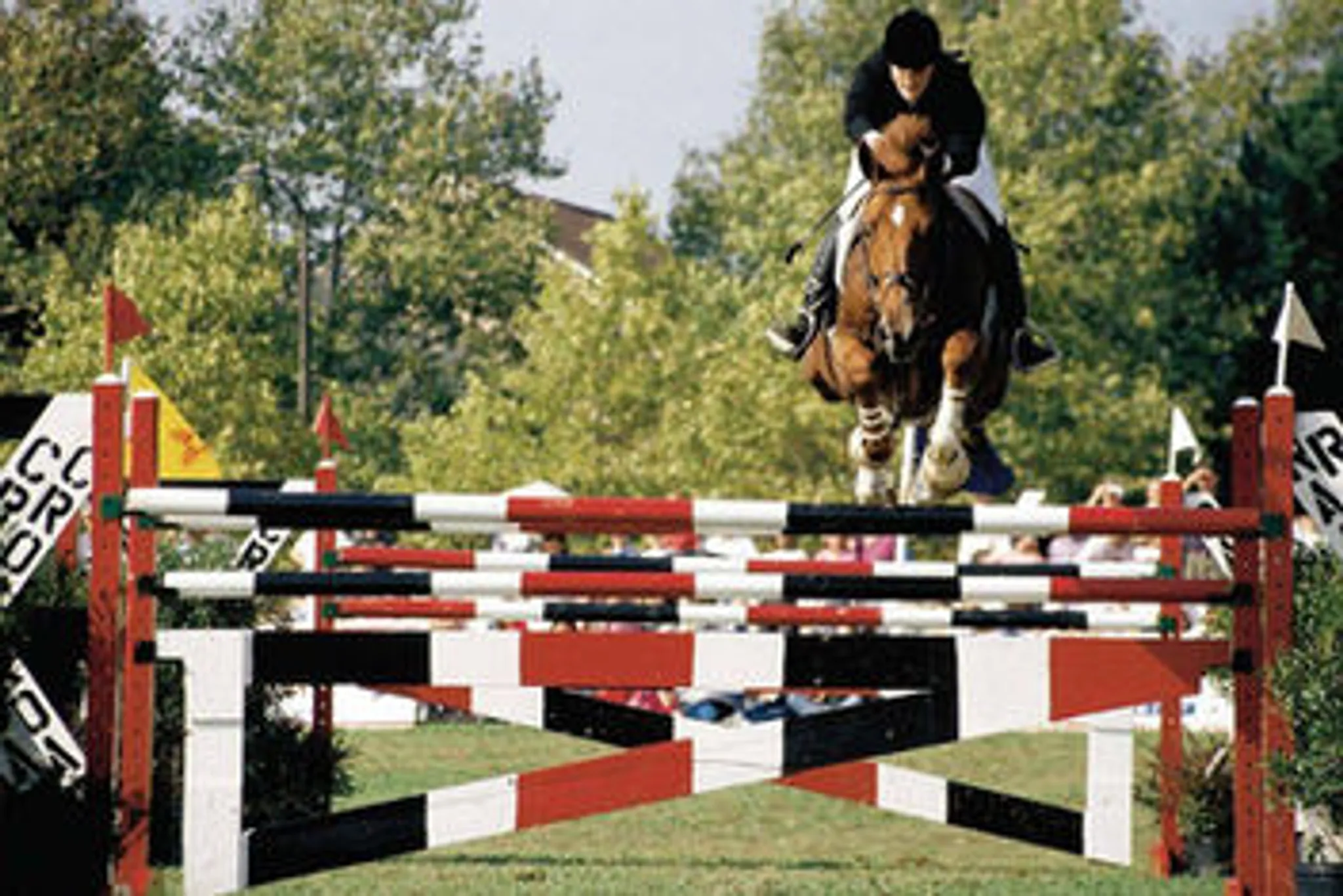 Meadows Equestrian Centre