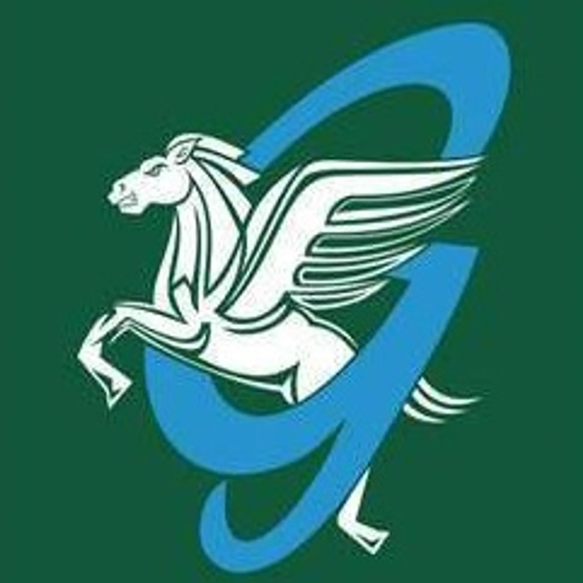 Geelong Amateur Football Netball Club