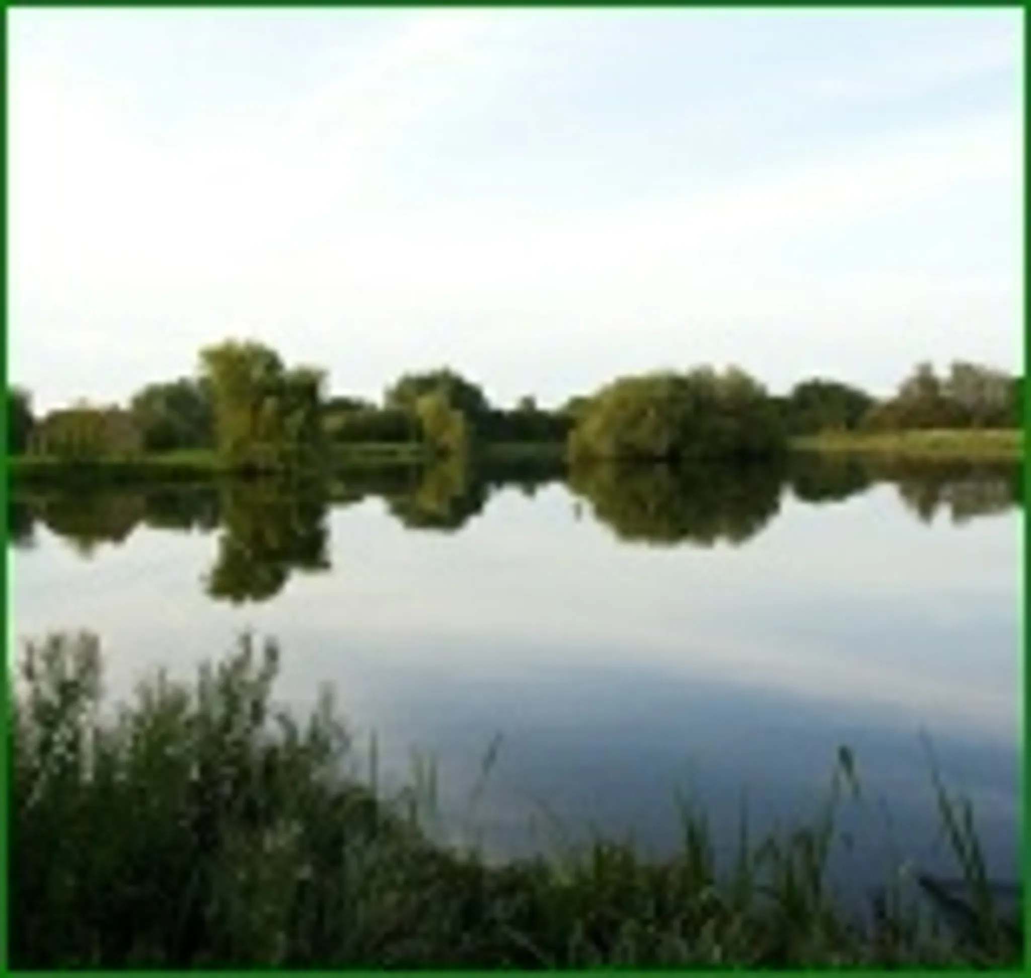 Angling Competitions at Bourton Lake