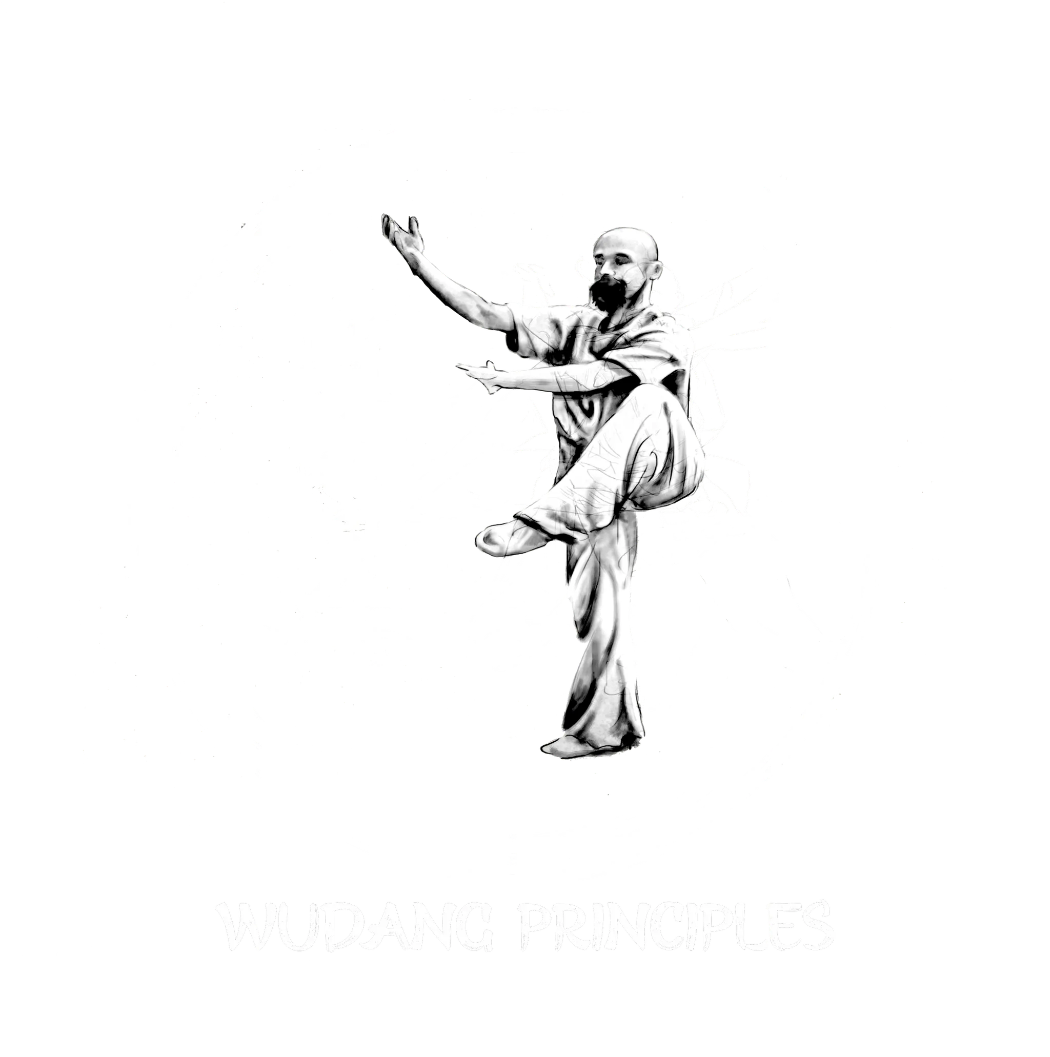 Wudang Tai Chi and Kung Fu