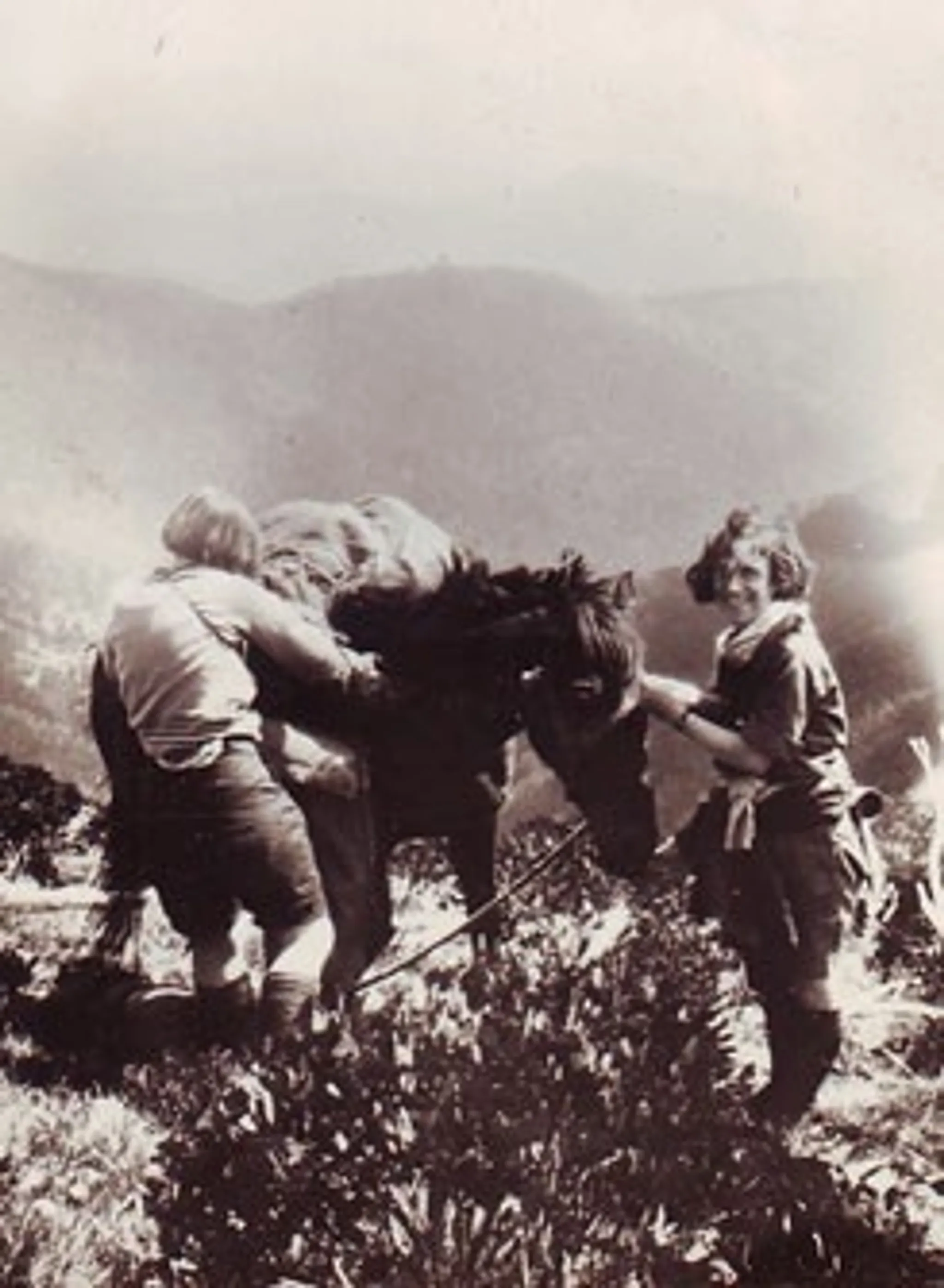You Yangs RP: Northern Range Circuit via Branding Yard Trail