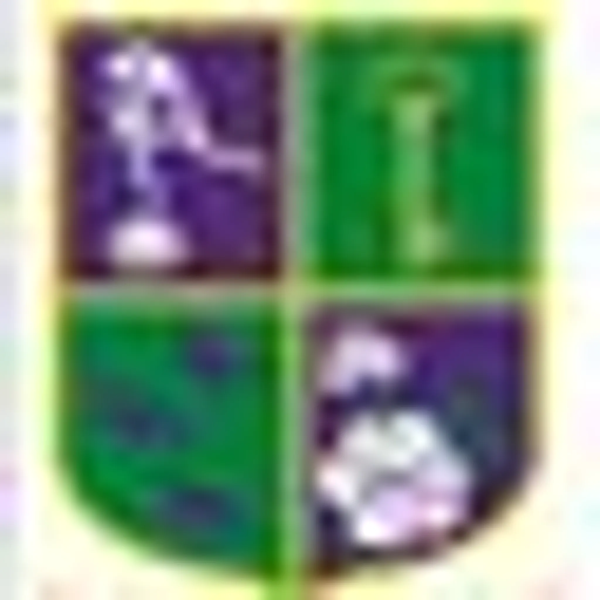 Bognor Rugby Football Club