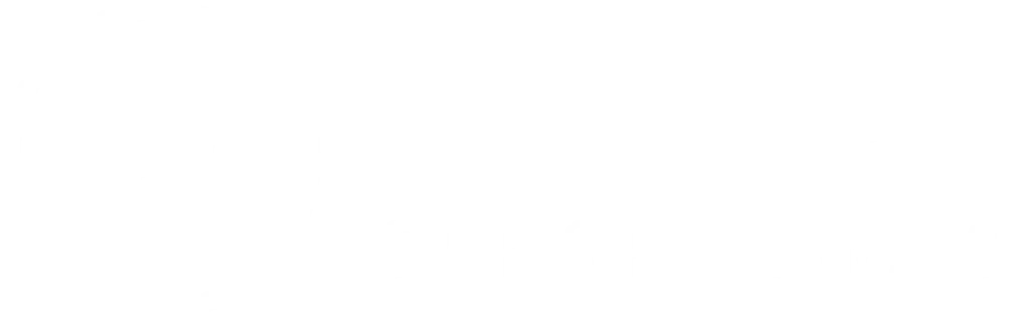 Hoops Sports Performance