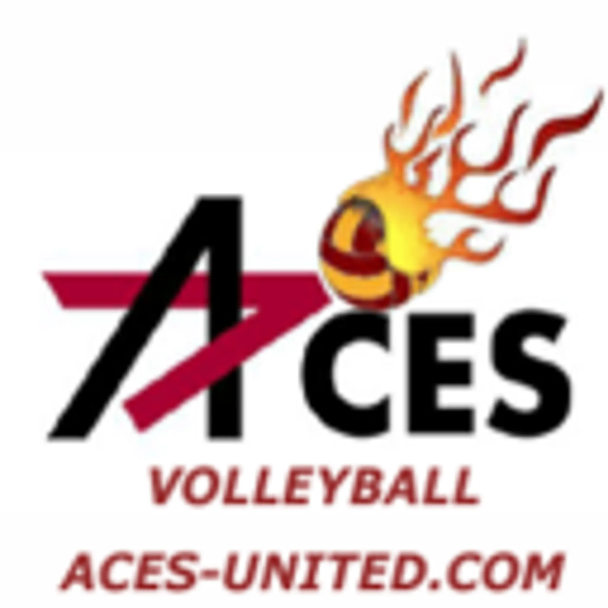 Volleyball Queensland