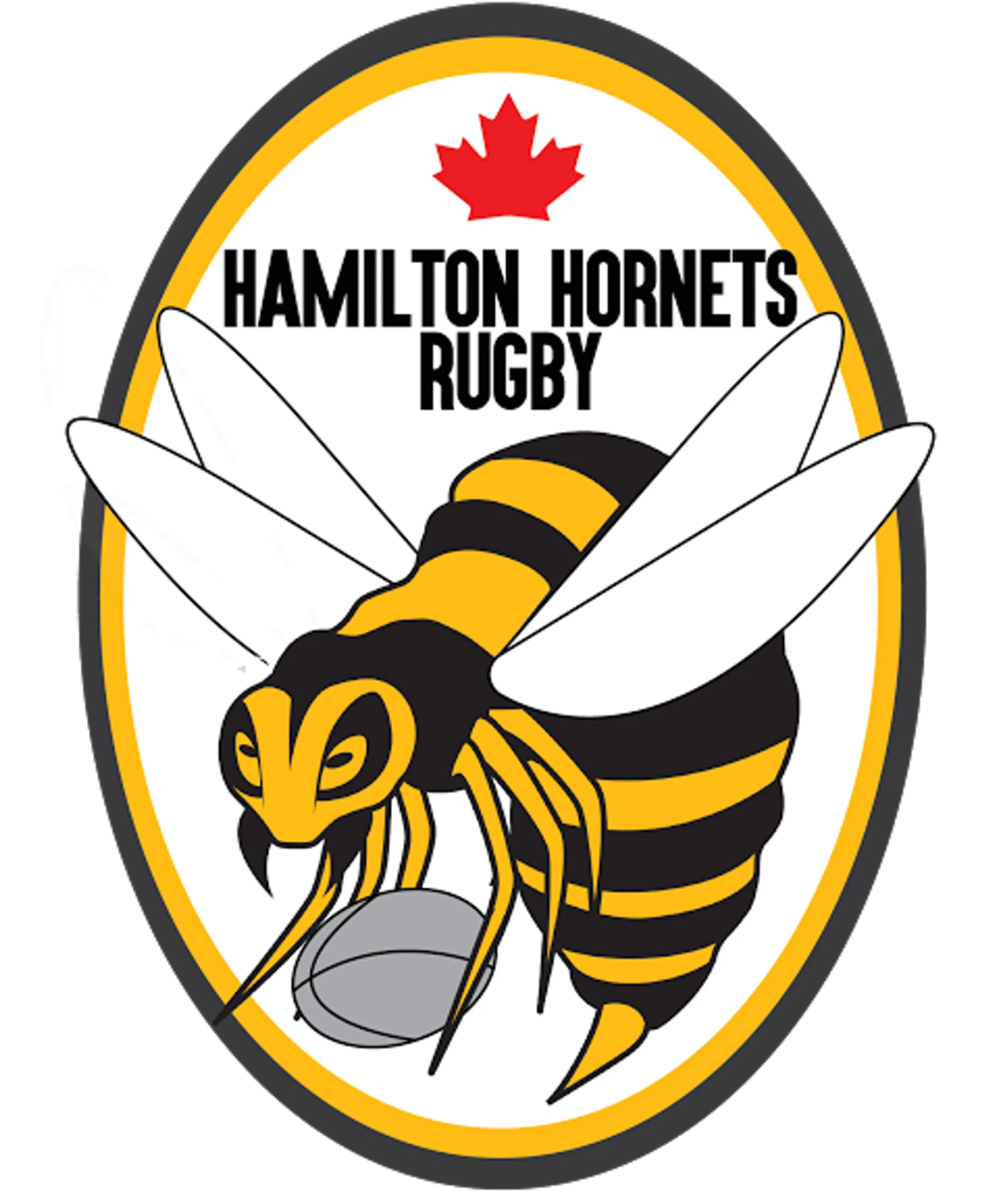 Hamilton Hornets Rugby Club