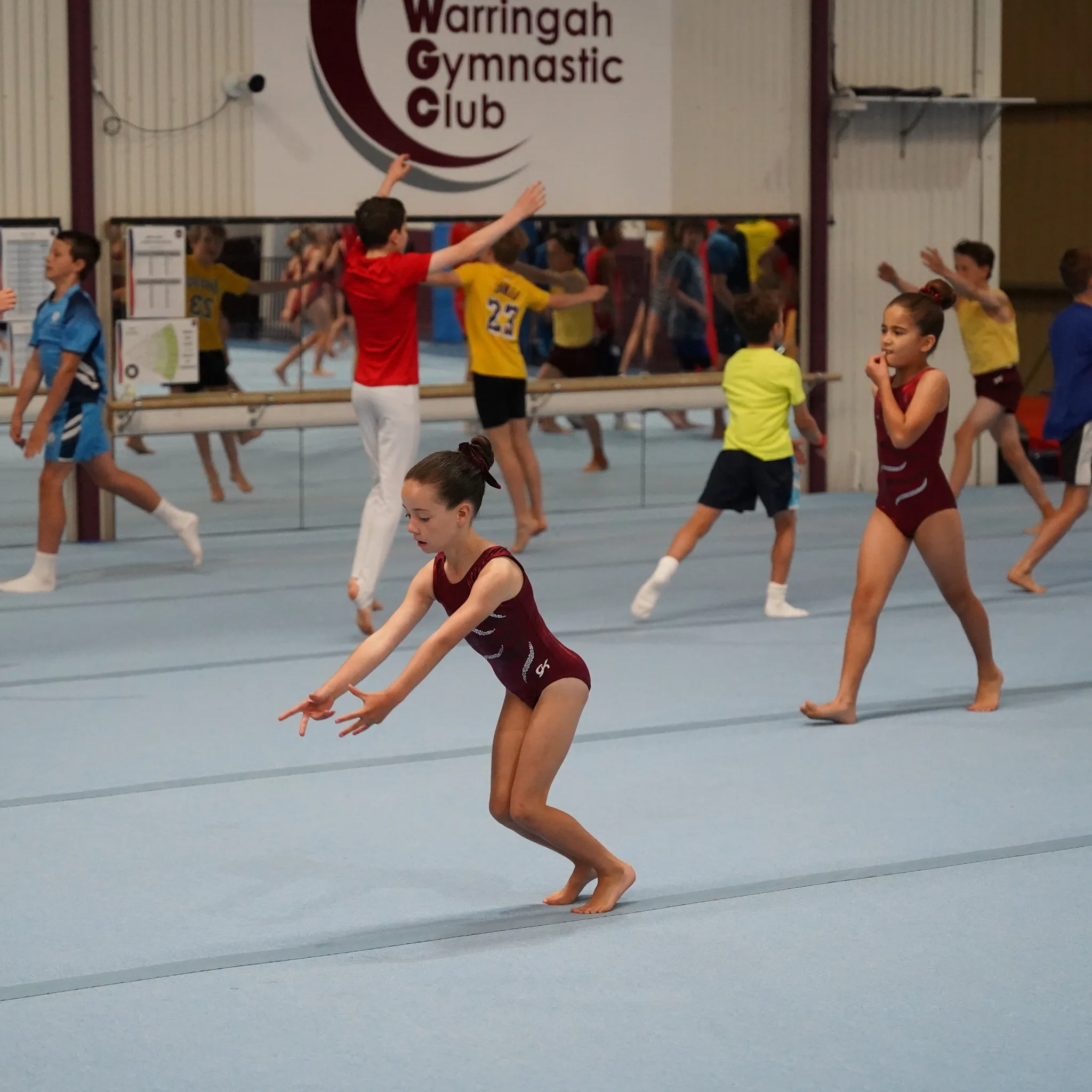 Manly Warringah Gymnastic Club
