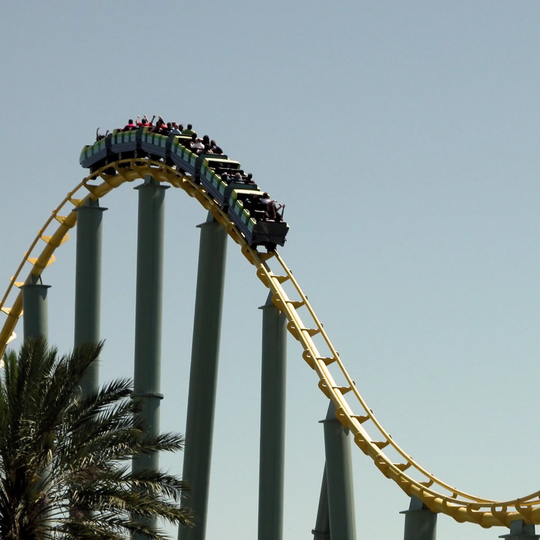 Ocean Delight Surf School