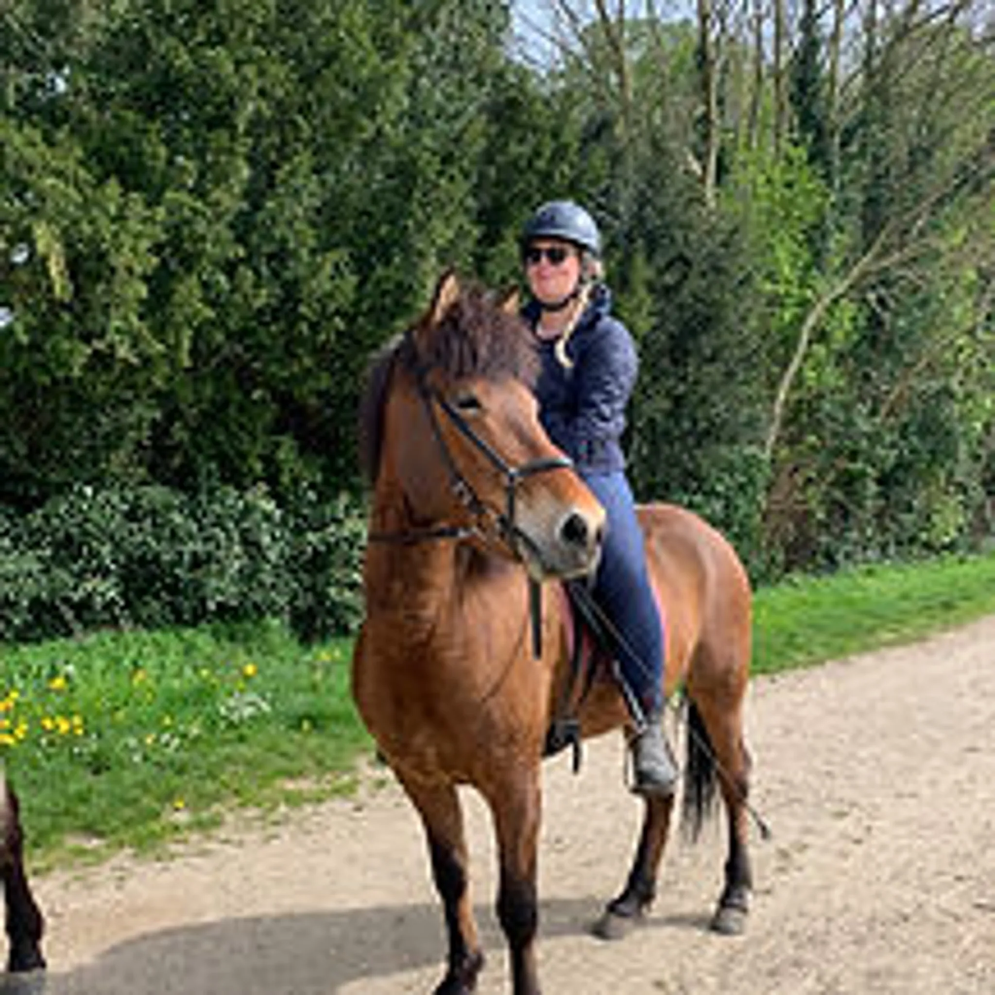 Les Islandais Du Vexin