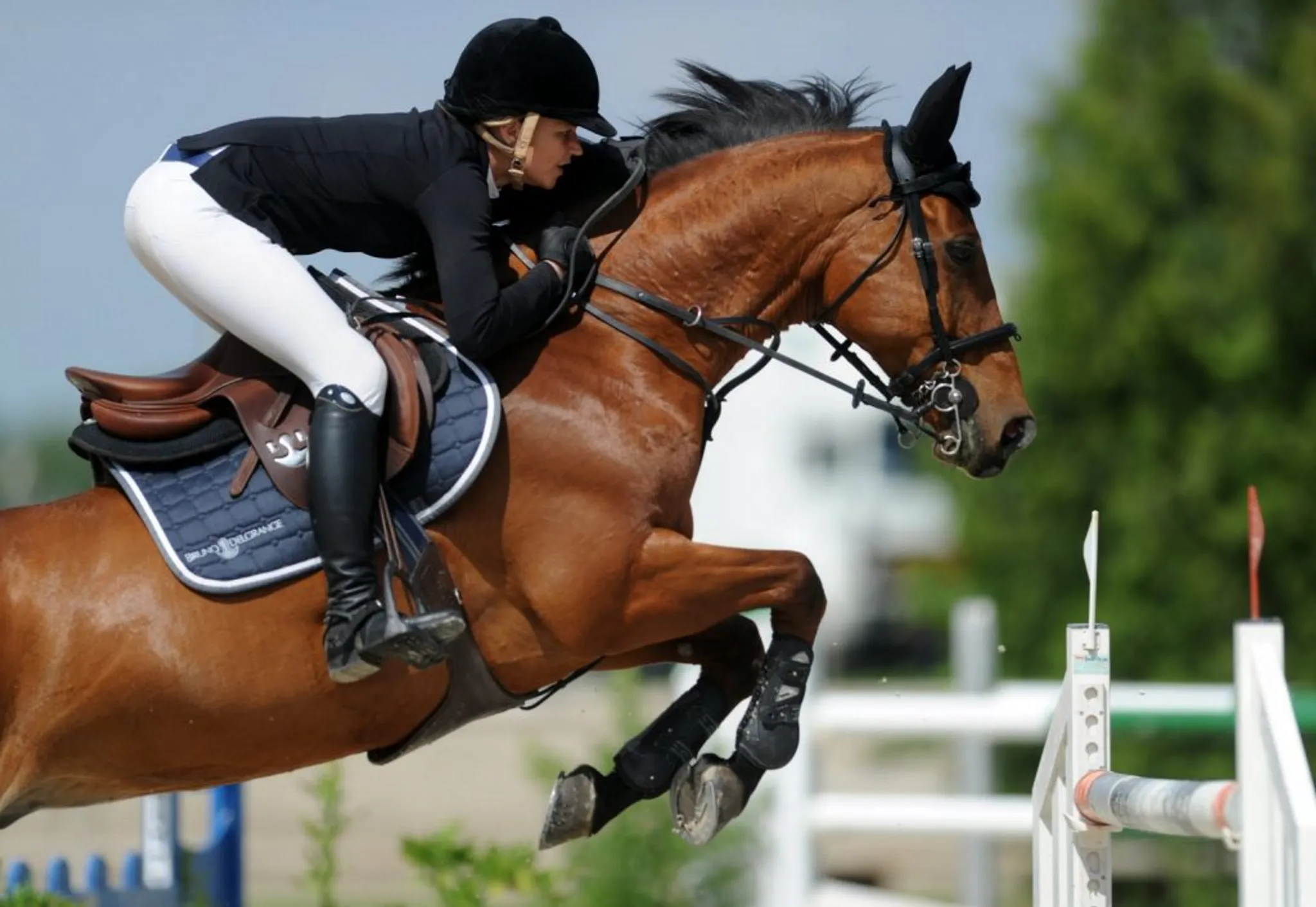 CSAG Metz section plongée