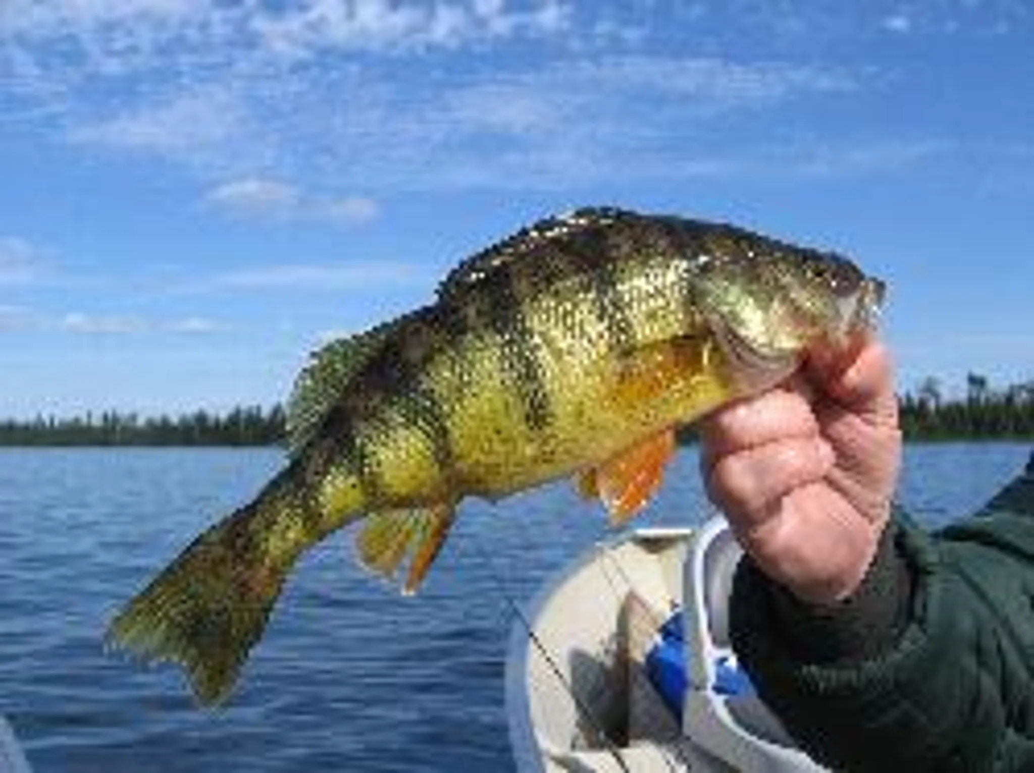 Ontario North Fishing Adventures