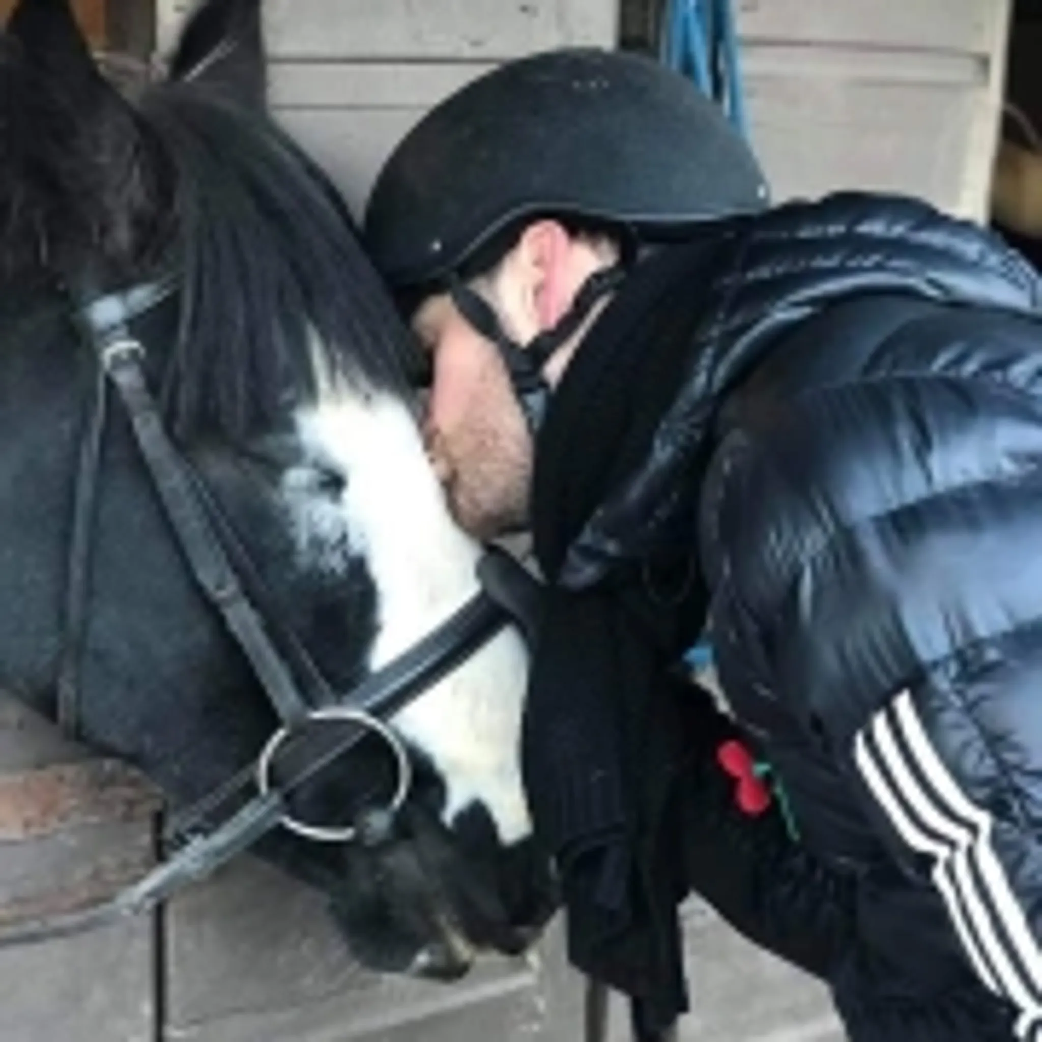 Loch Lomond Pony Trekking