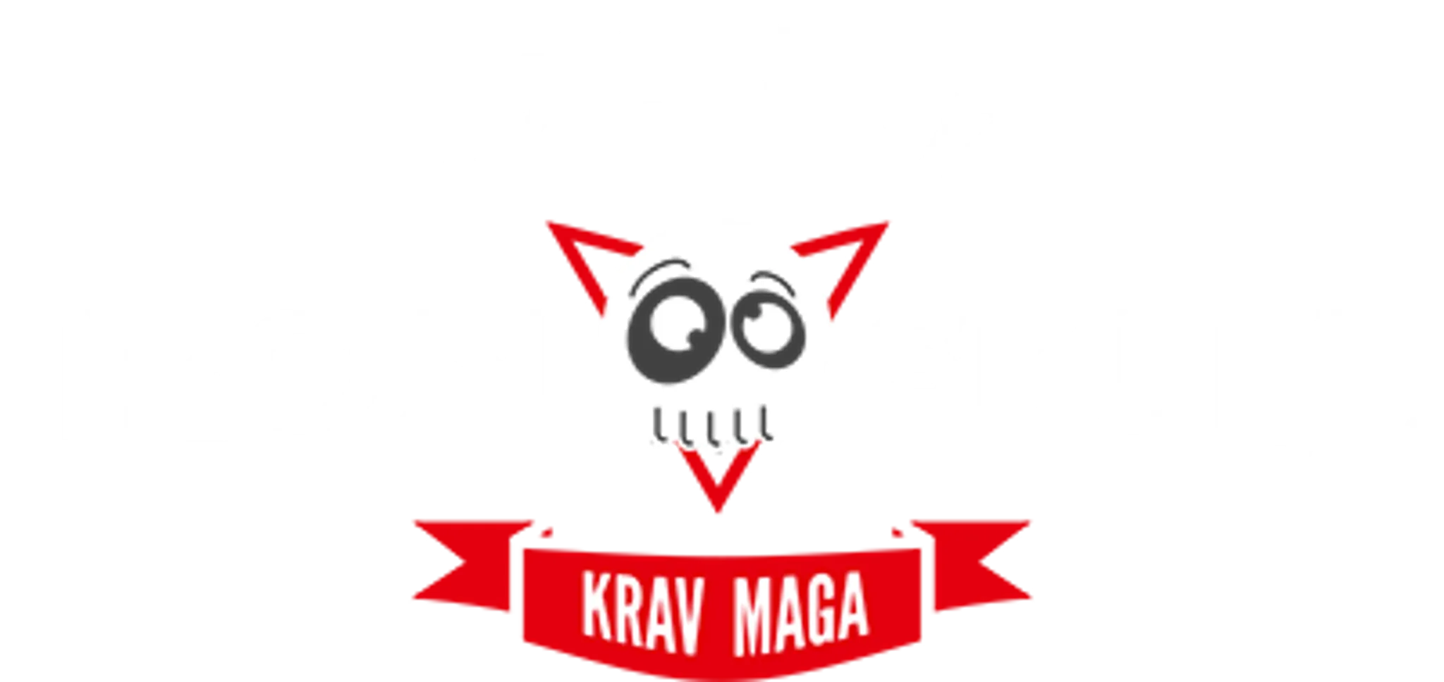 Kids and Teens Krav Maga