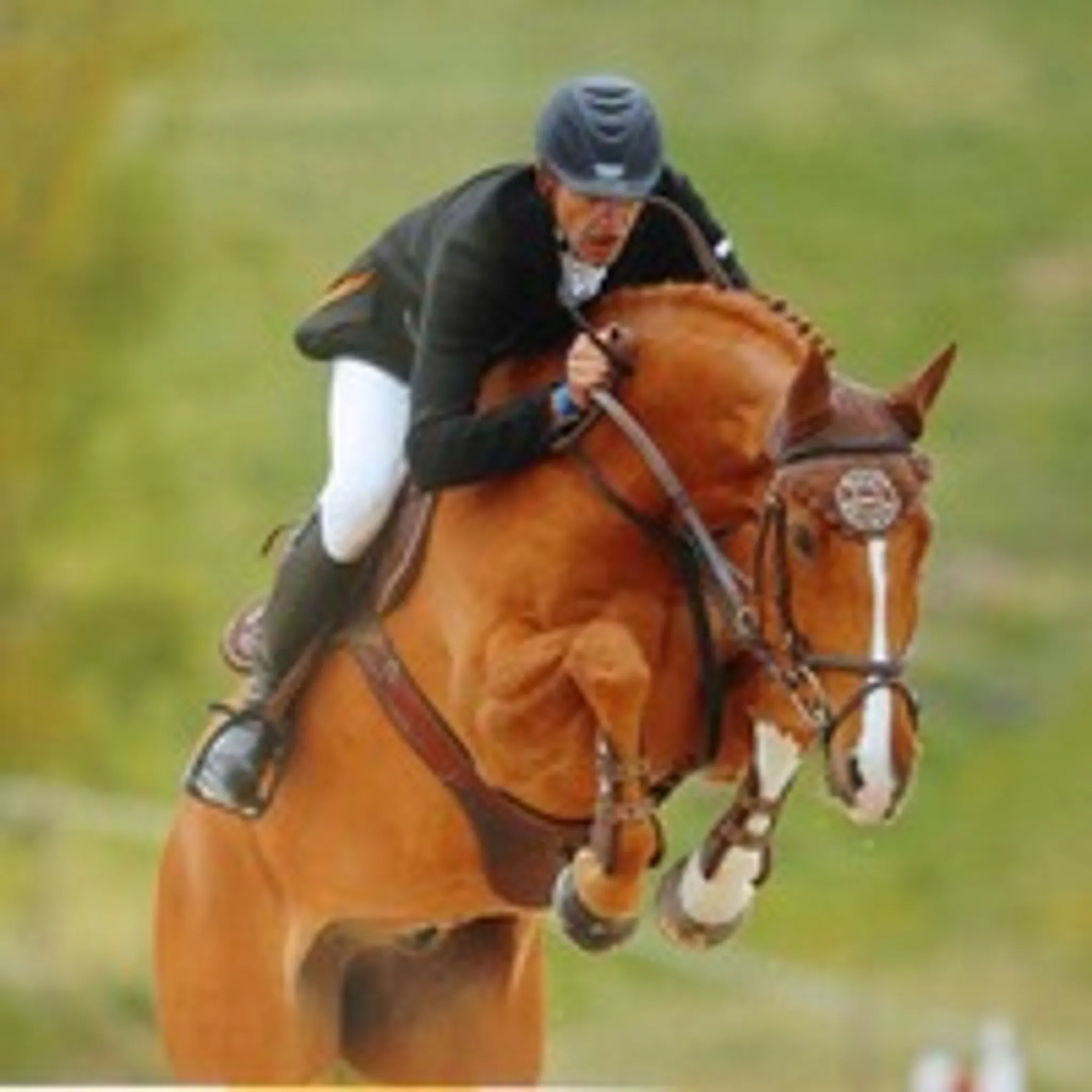 ECURIES DE LAVALETTE