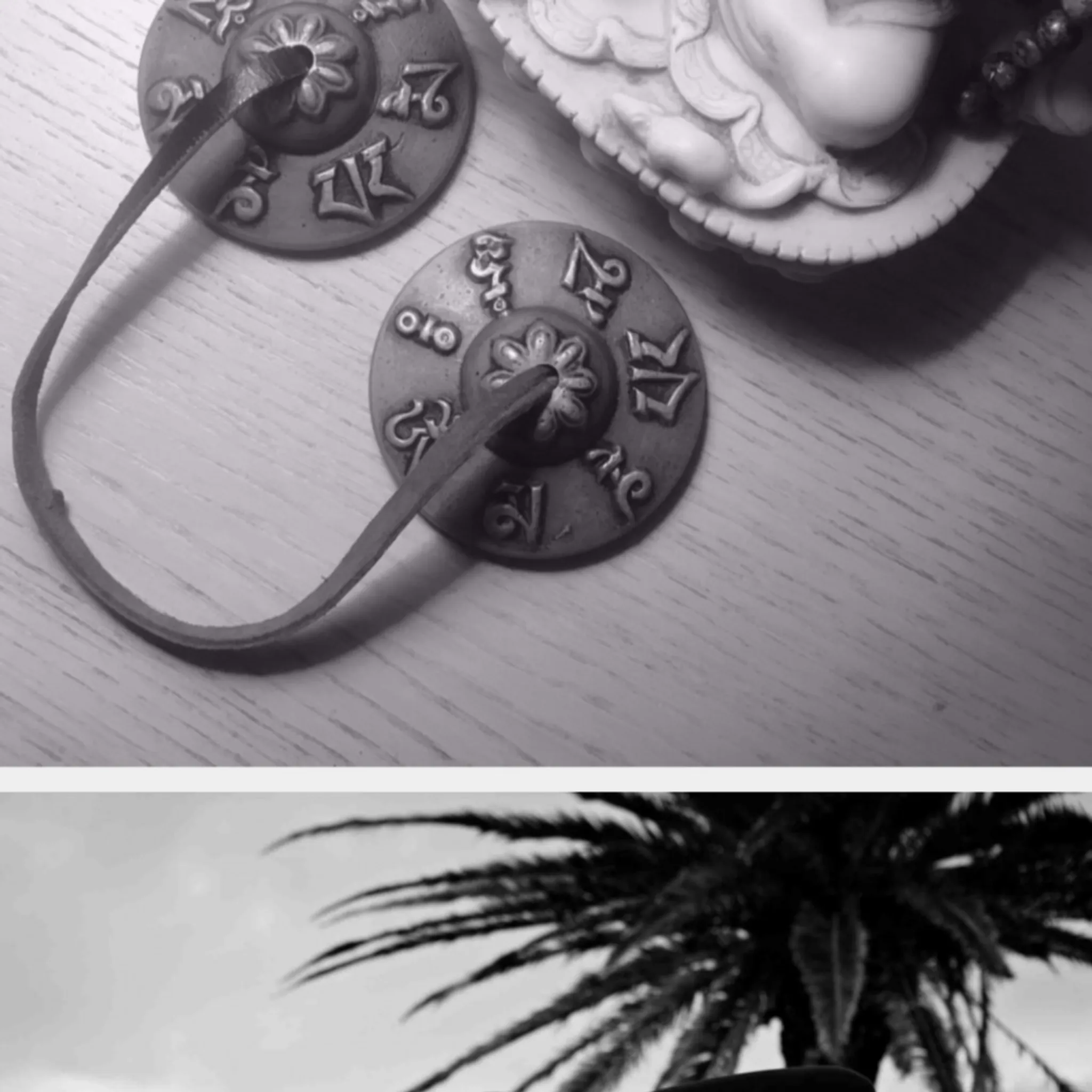 Lisa Pollard Yoga & Meditation Teacher