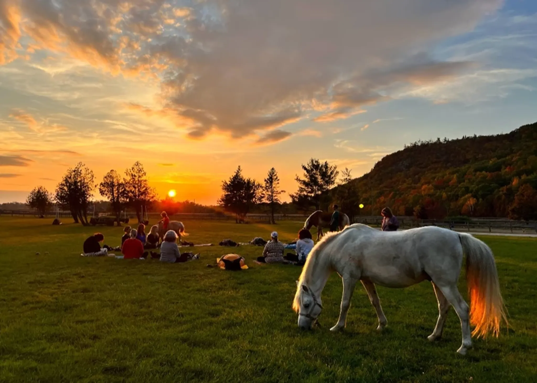 Venturing Hills Farm Summer Camps 2024
