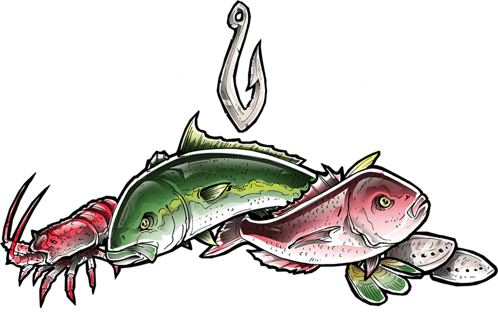 Provider Fishing Charters, Adventures and Retreats, Tairua, Coromandel, New Zealand